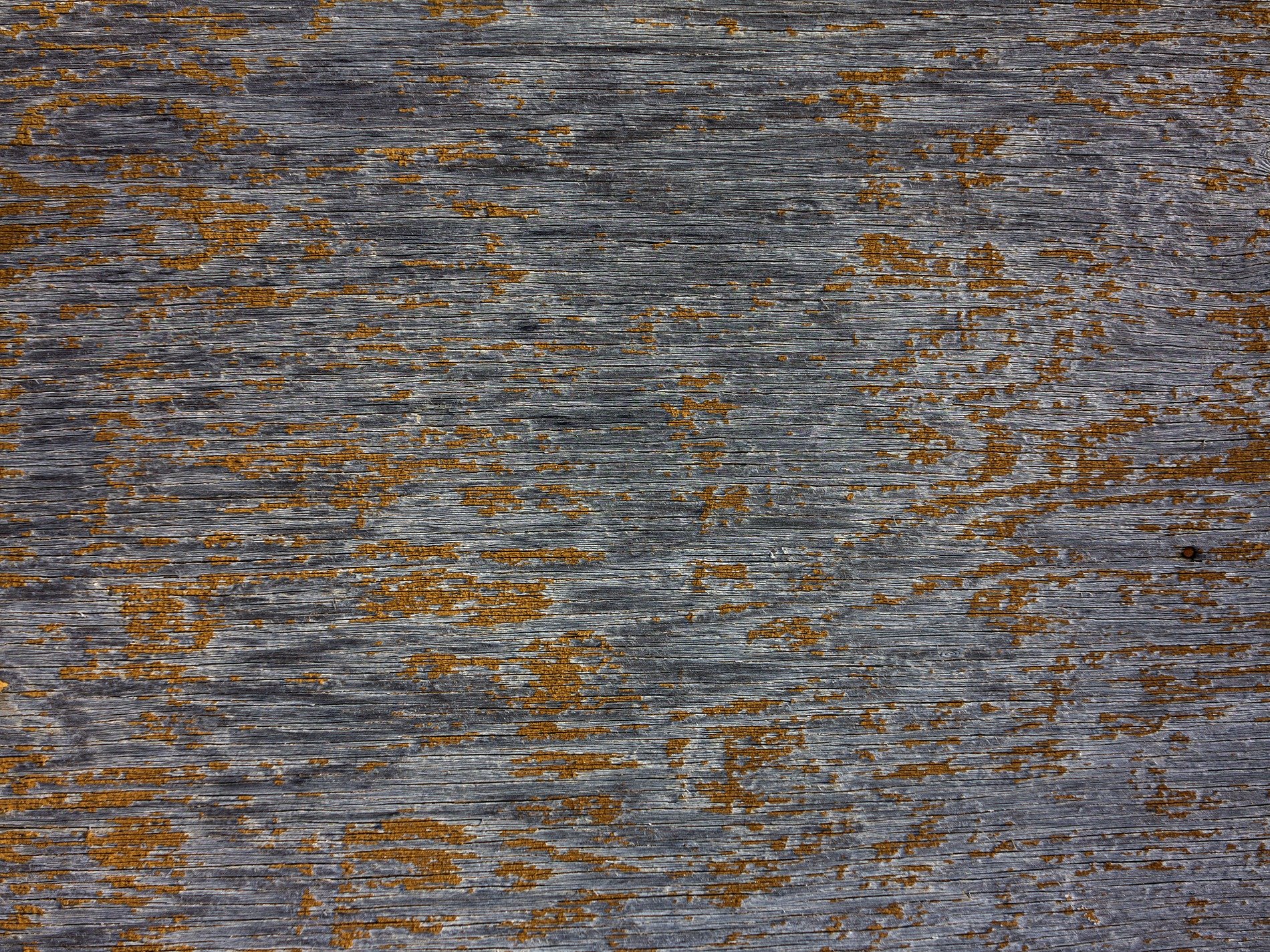 Yellow skin peels back, dark grain shows beneath the flakes, grit marks the finish