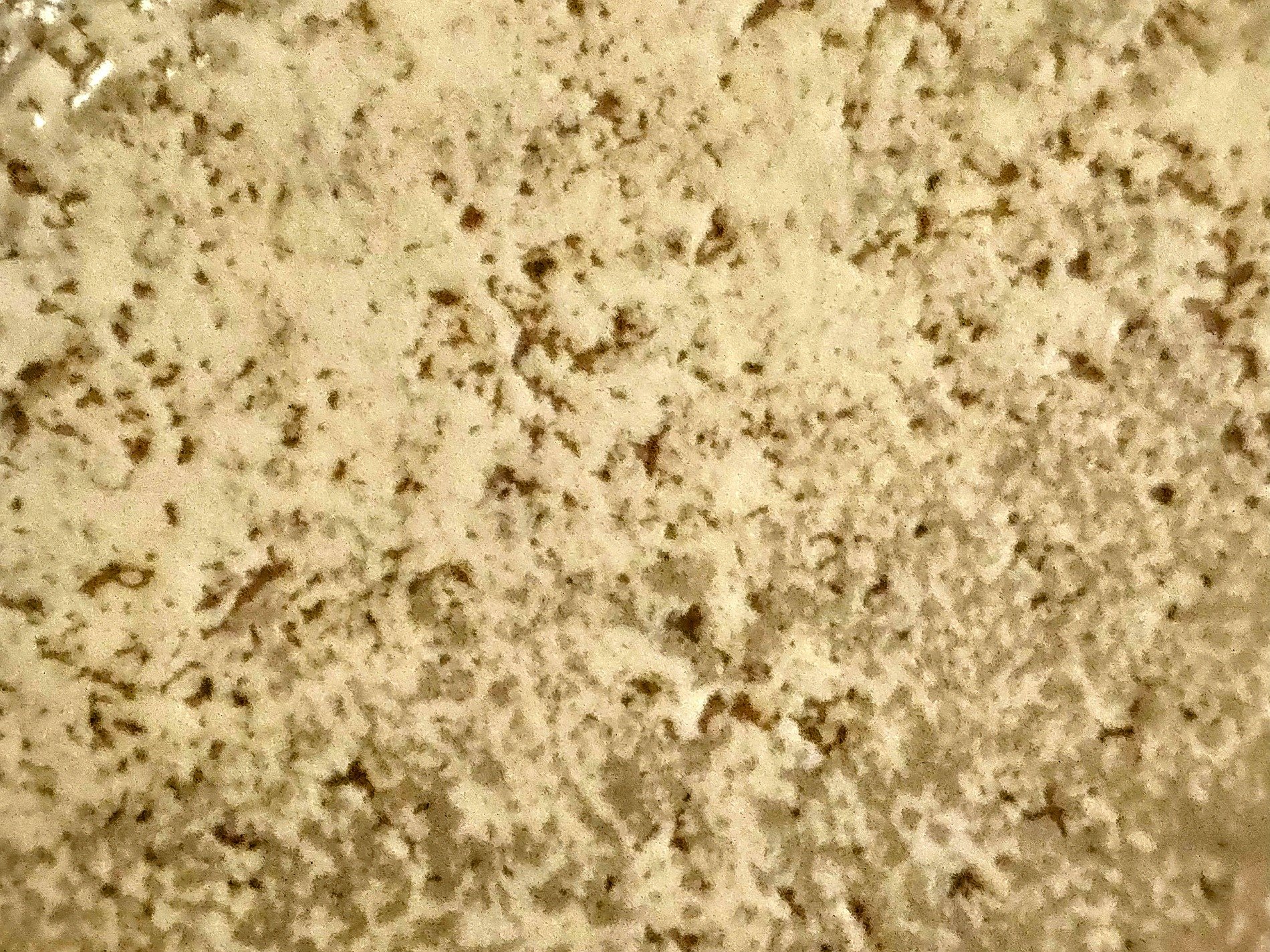 Beige stone deeply pitted, dark grains dance in creamy light, solid earth remains