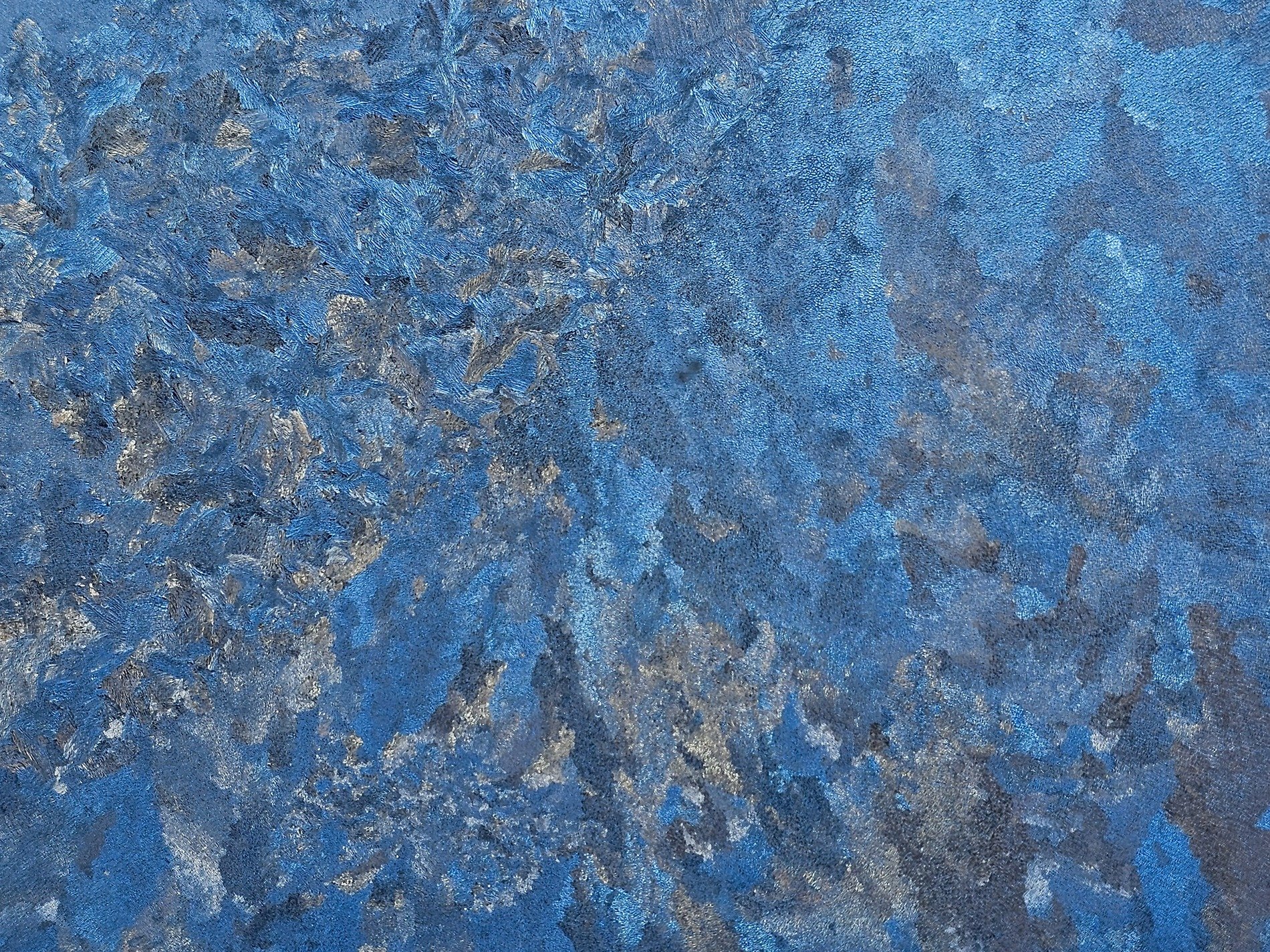 Blue ice blooms in light, frozen feathers coat the pane, winter carves its glass