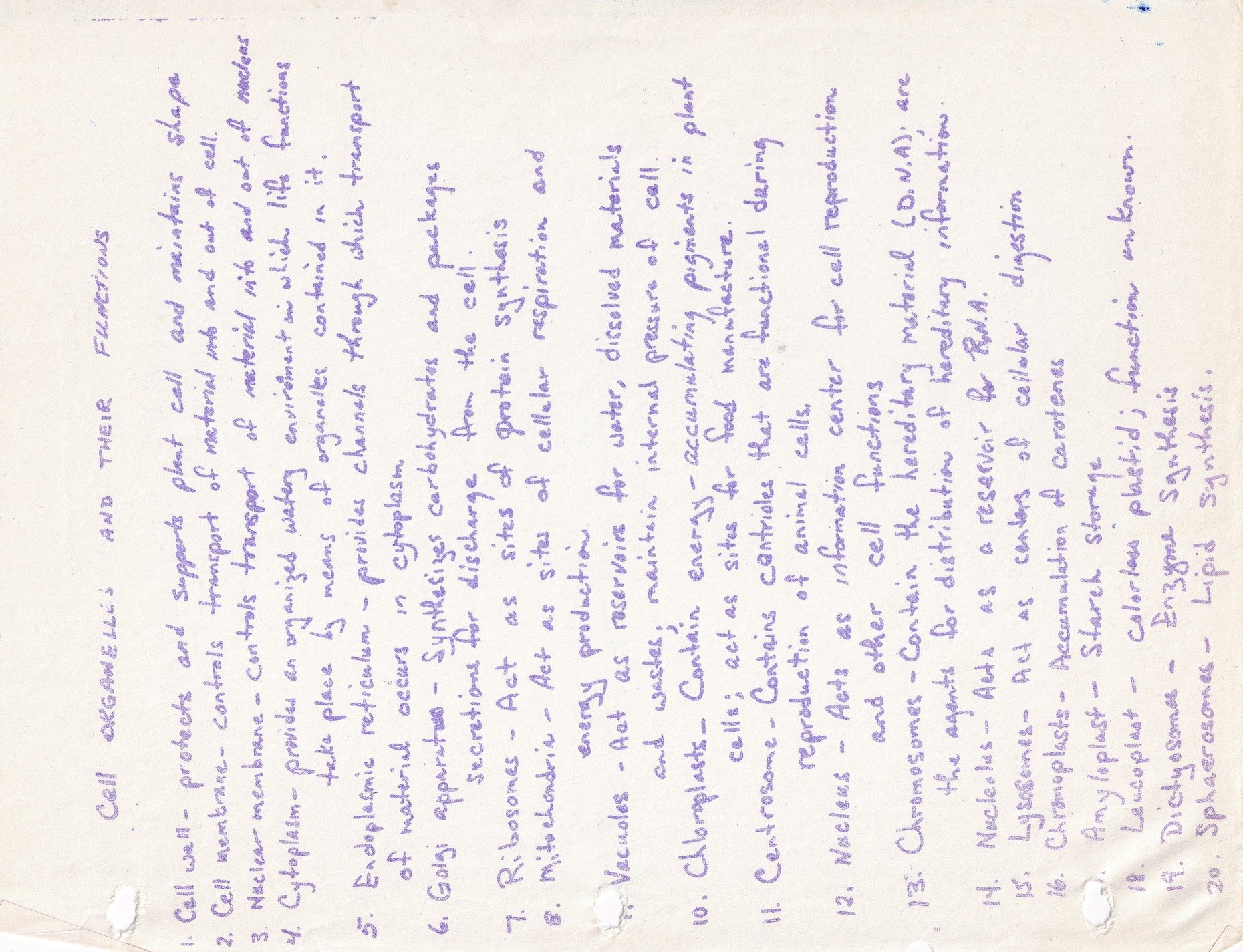 Blue ink maps the cell, functions listed line by line, paper keeps the notes