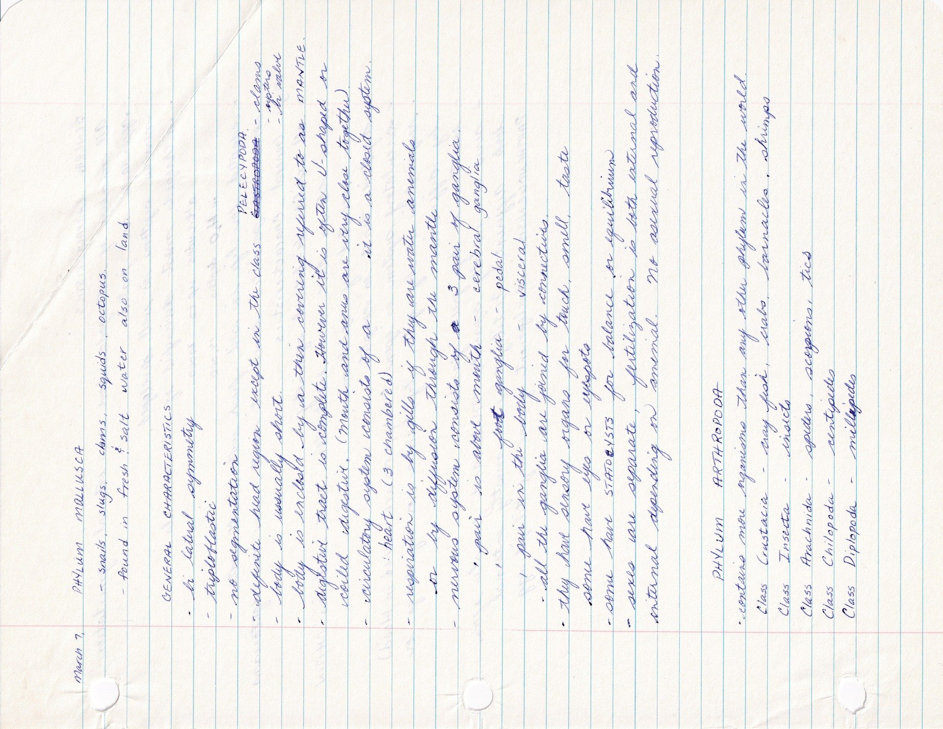 Blue ink on the page, cursive notes tell of science, paper holds the thought