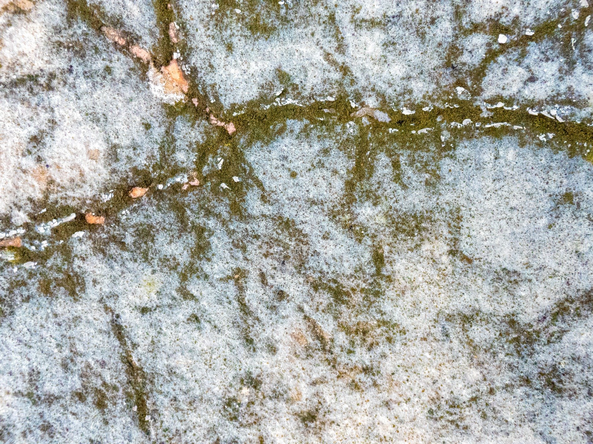Green moss maps the cracks, grey stone holds a quiet life, nature claims the wall
