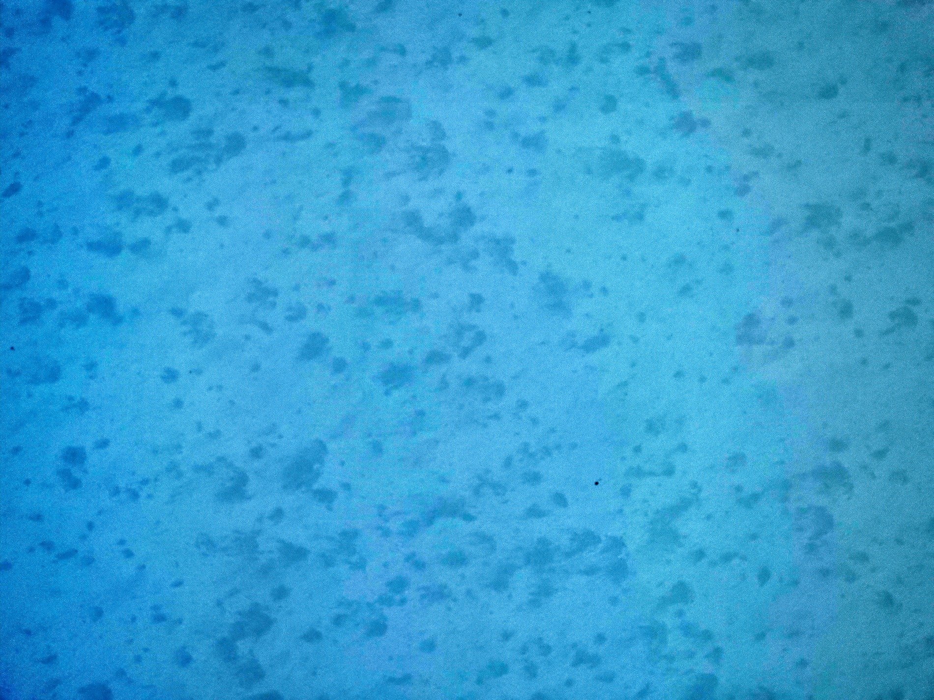 Blue pigment remains, mottled shadows dance slowly, weathered surface fades