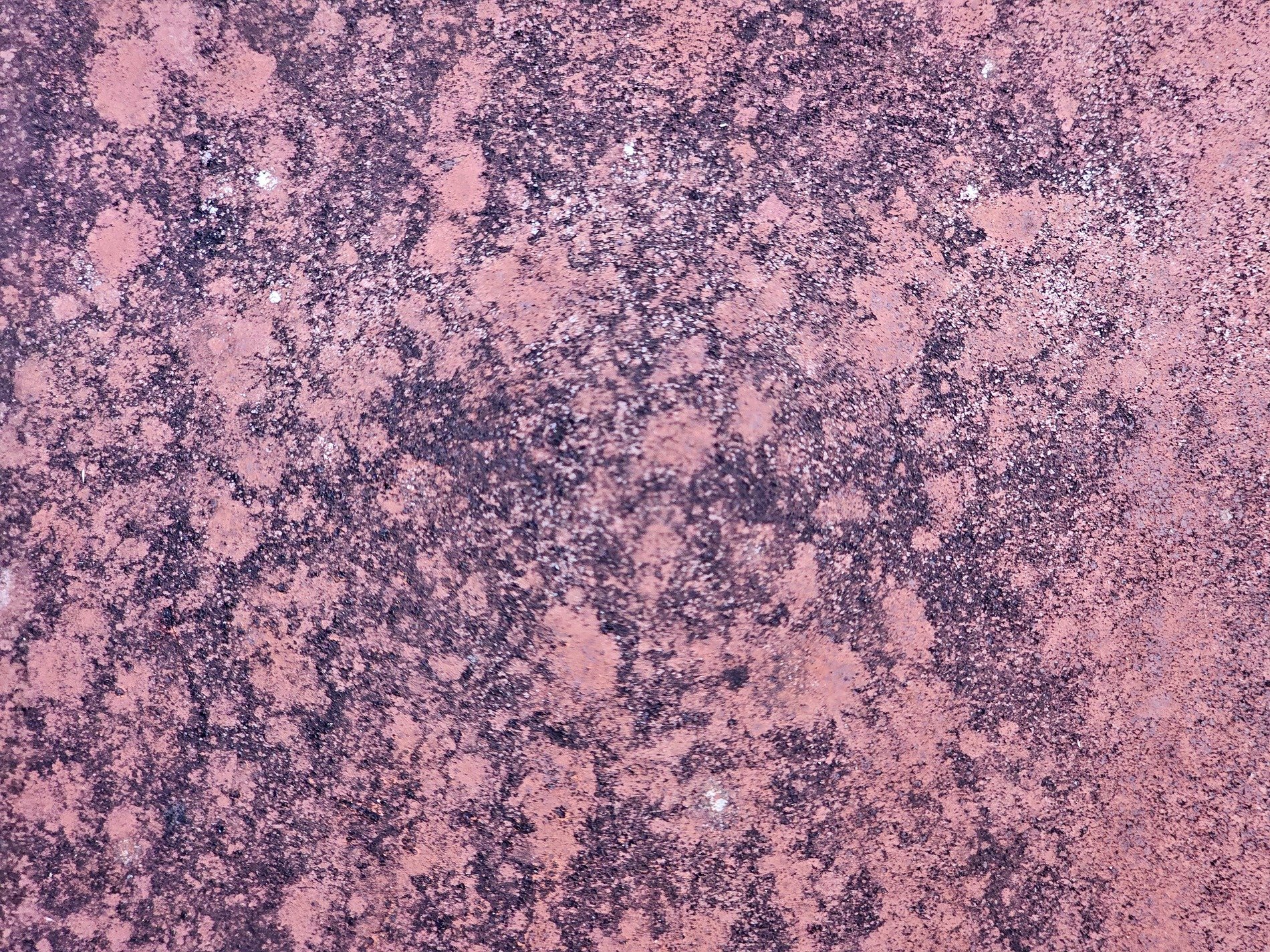 Blue skin flakes away, brown grain shows at the edge, weather wears the fiber