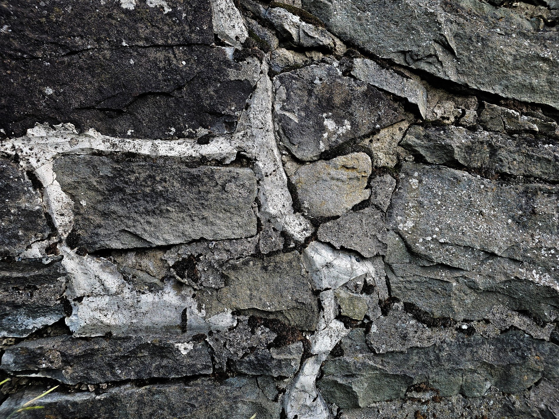 Blue skin meets the light, orange spots trace on the field, grit holds the pattern