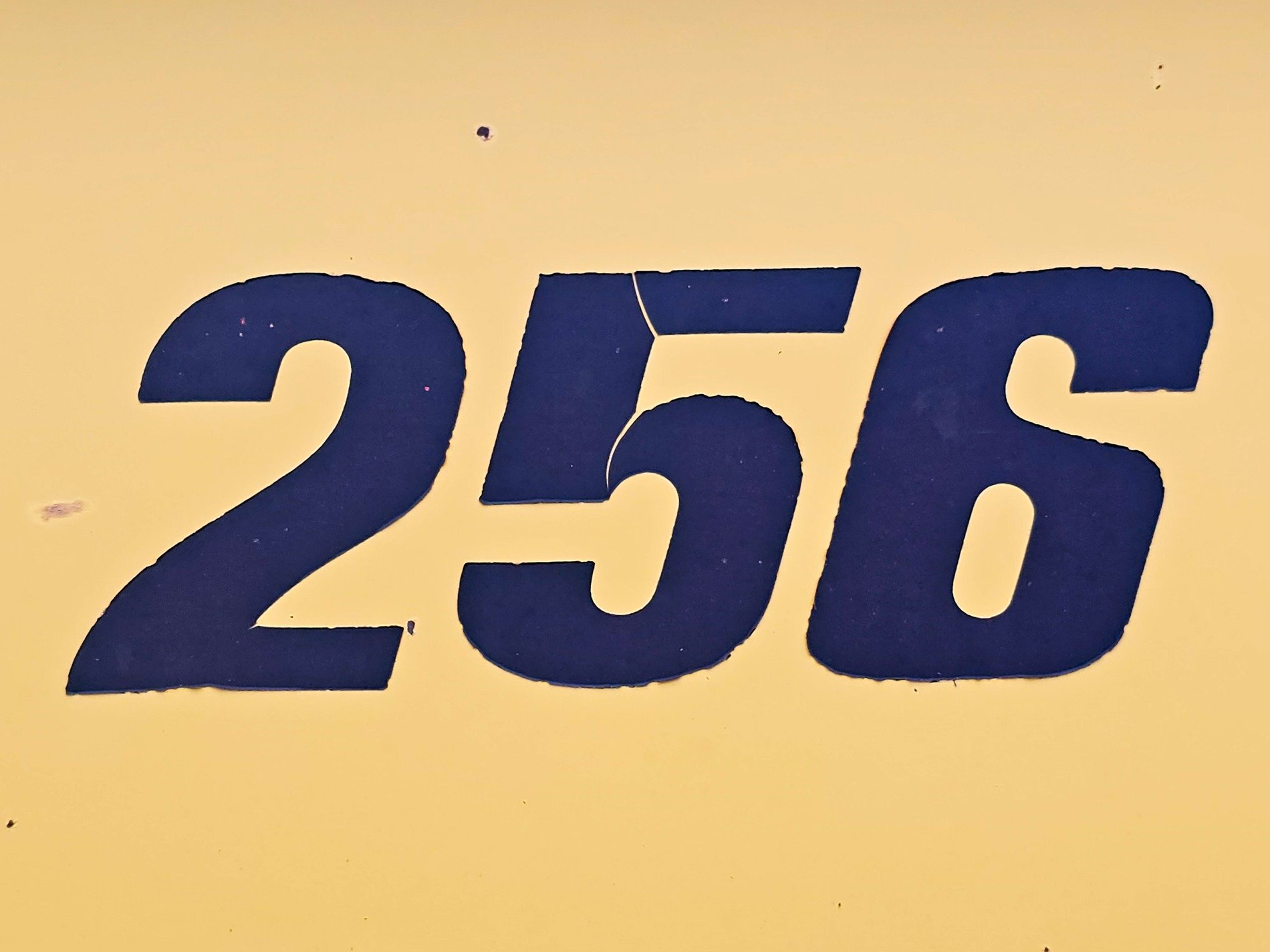 Bold ink on yellow, fissures split the numbered skin, sequence holds its place