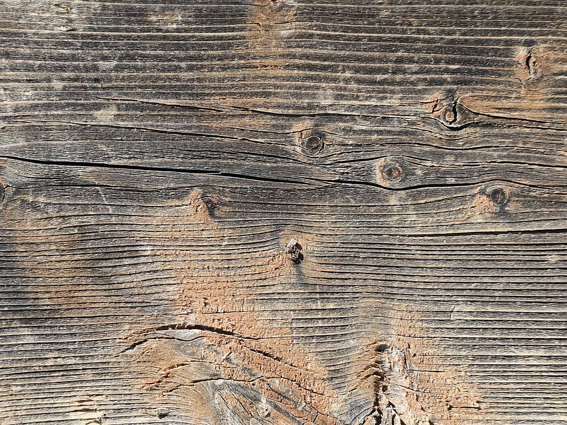 Circular paths meet, jagged core holds the center, nature turns to grit