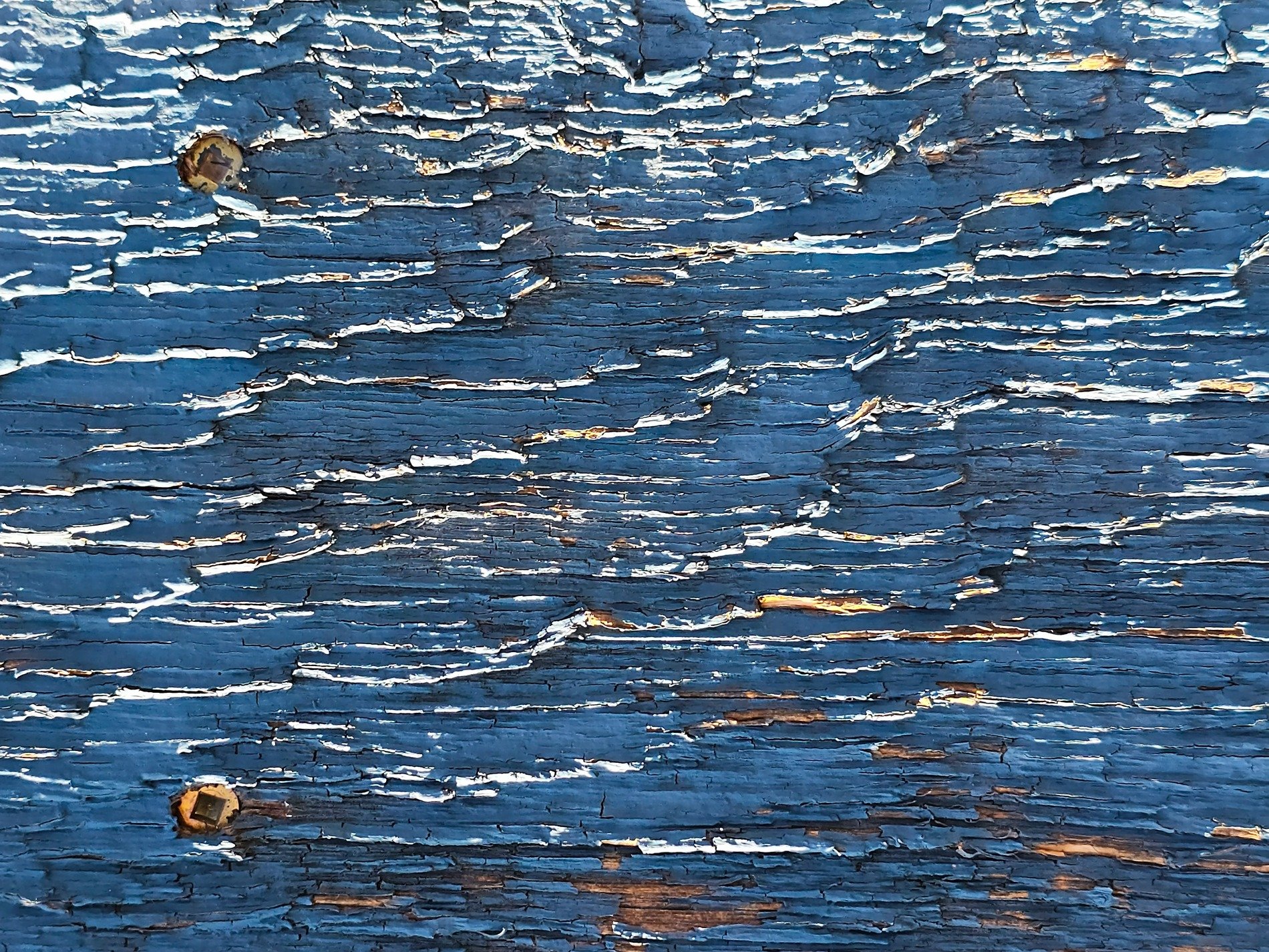 Cracked blue paint retreats, weathered grain shows through the gaps, rusty nails remain