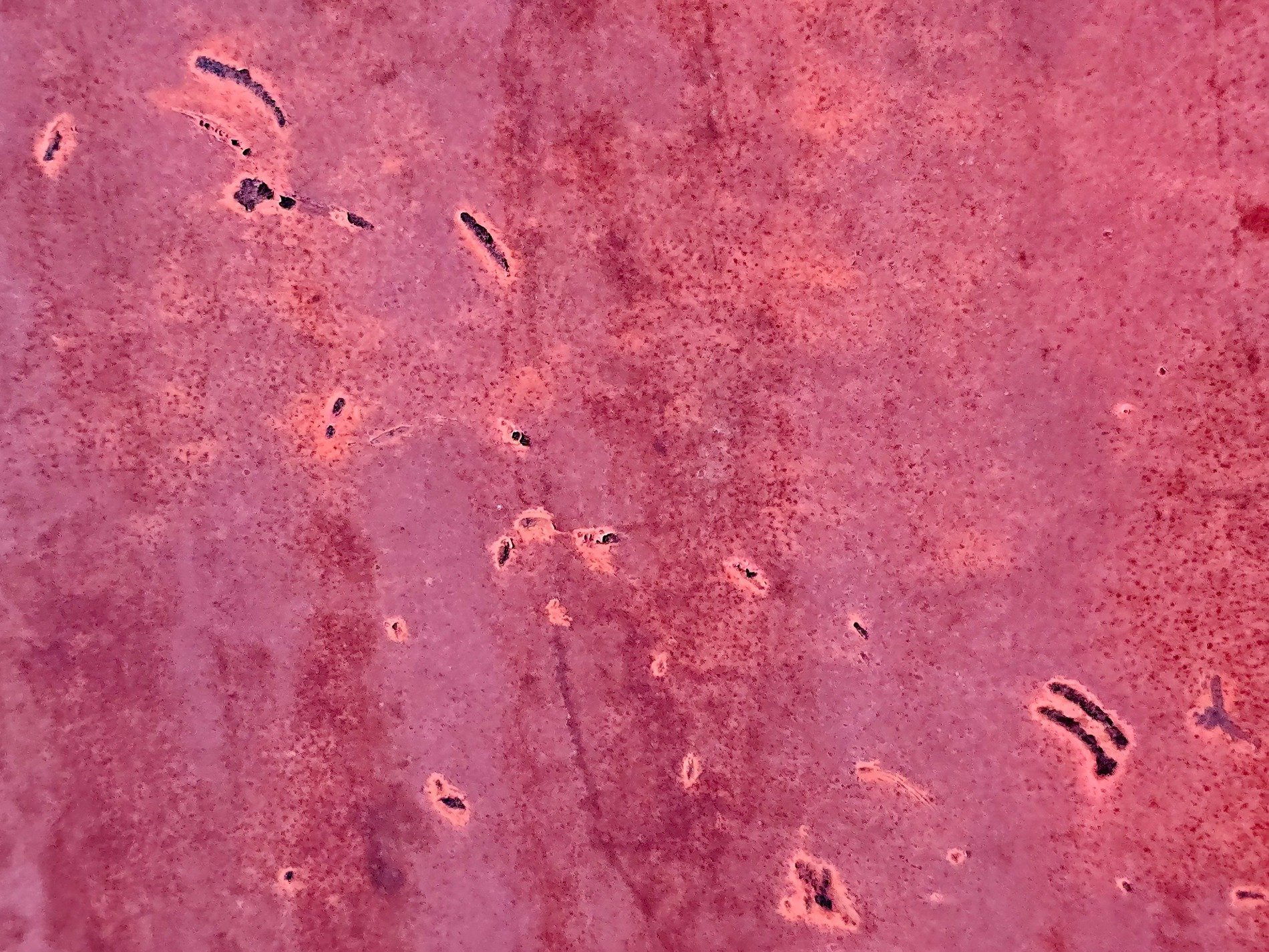 Crimson iron skin, dark pits mark the weathered face, time leaves behind rust