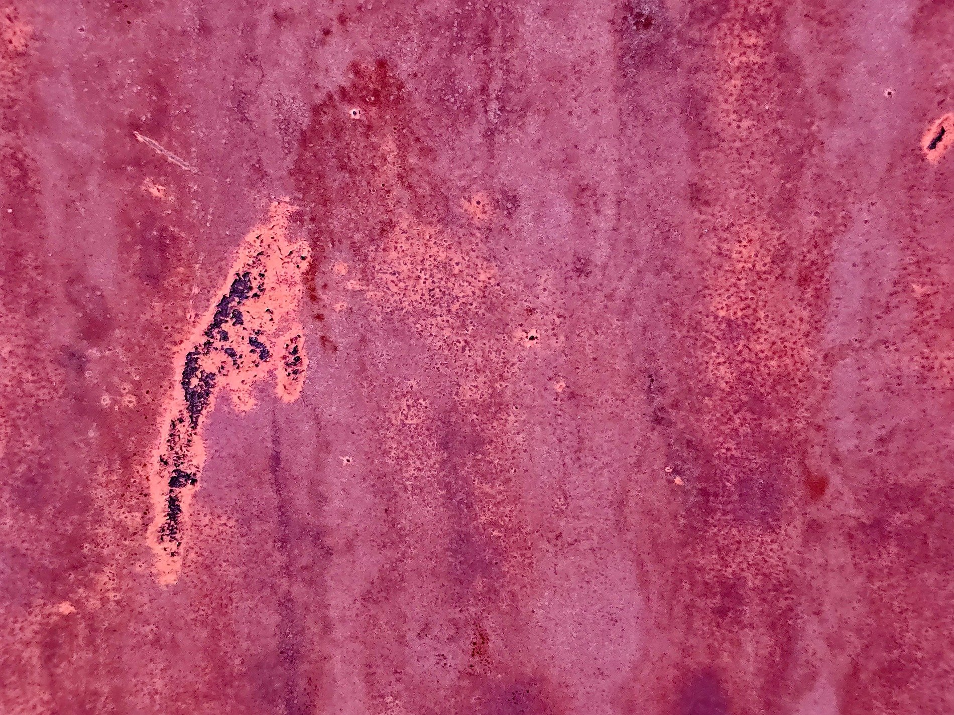 Crimson wash of age, orange blooms on purple skin, metal starts to pit