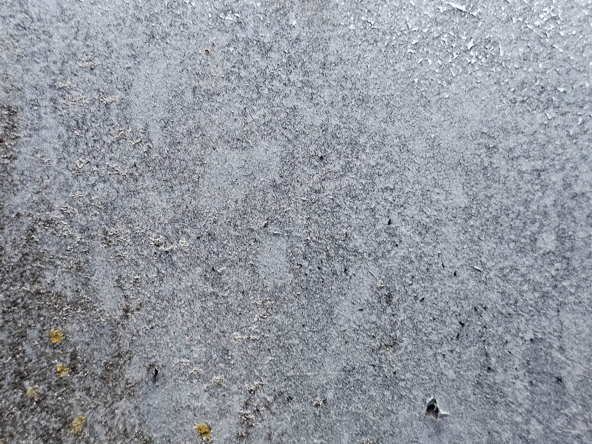 Dark grains flow through deep, jagged lines trace the surface, light marks the finish