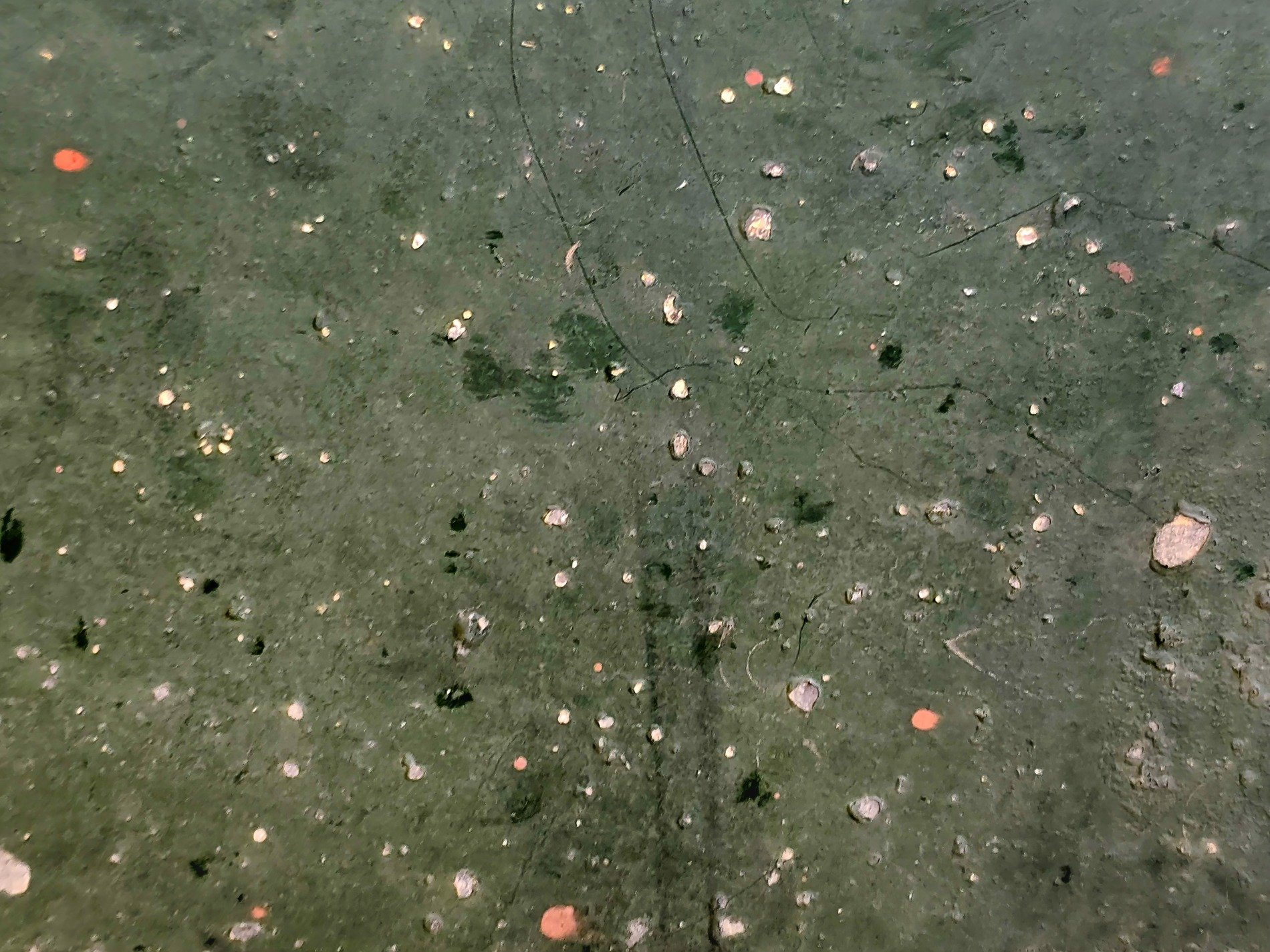 Dark green skin of stone, orange dots like distant stars, cracks map out the path