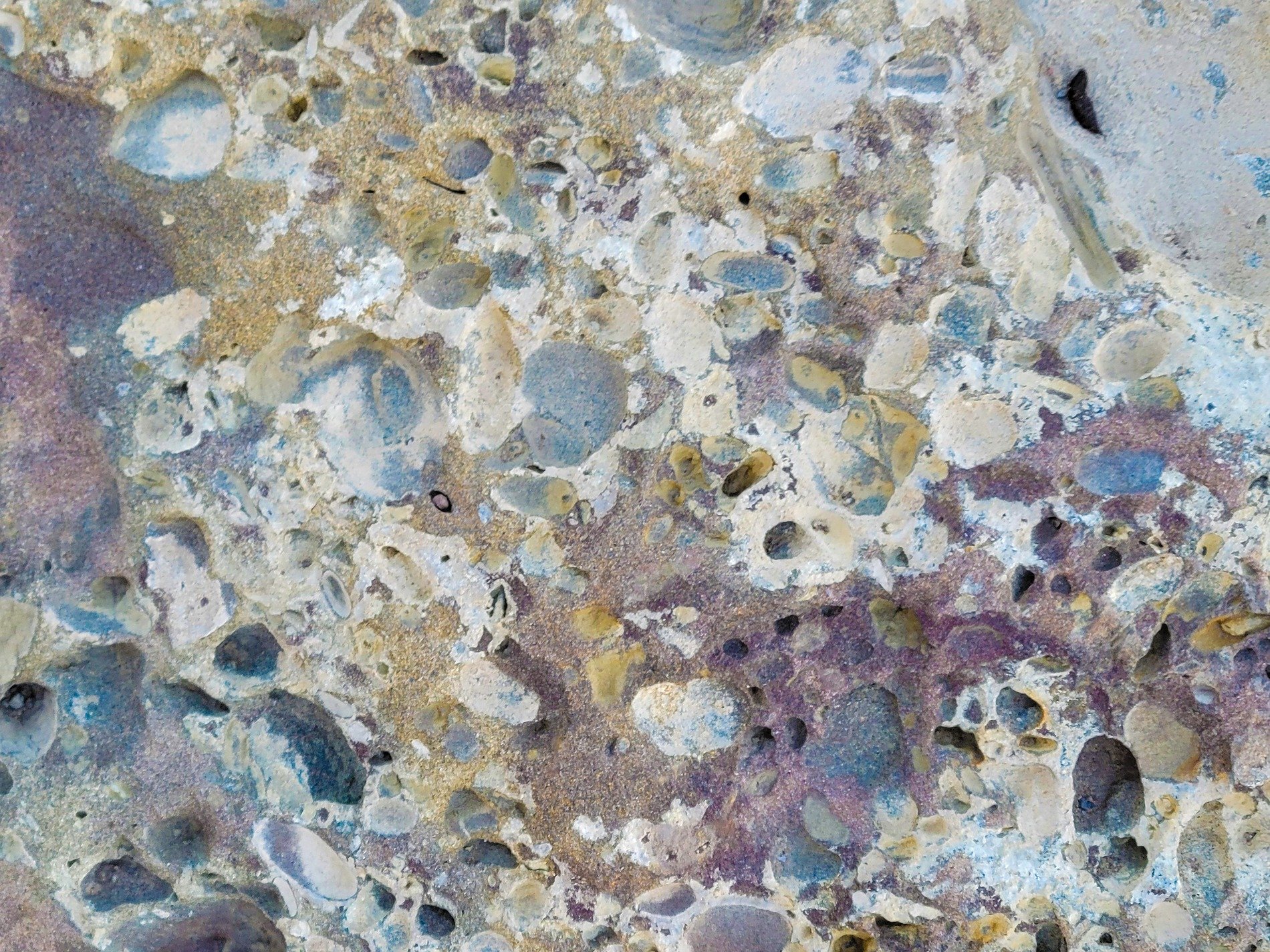 Pebbles locked in time, purple washes through the rock, hollow paths remain