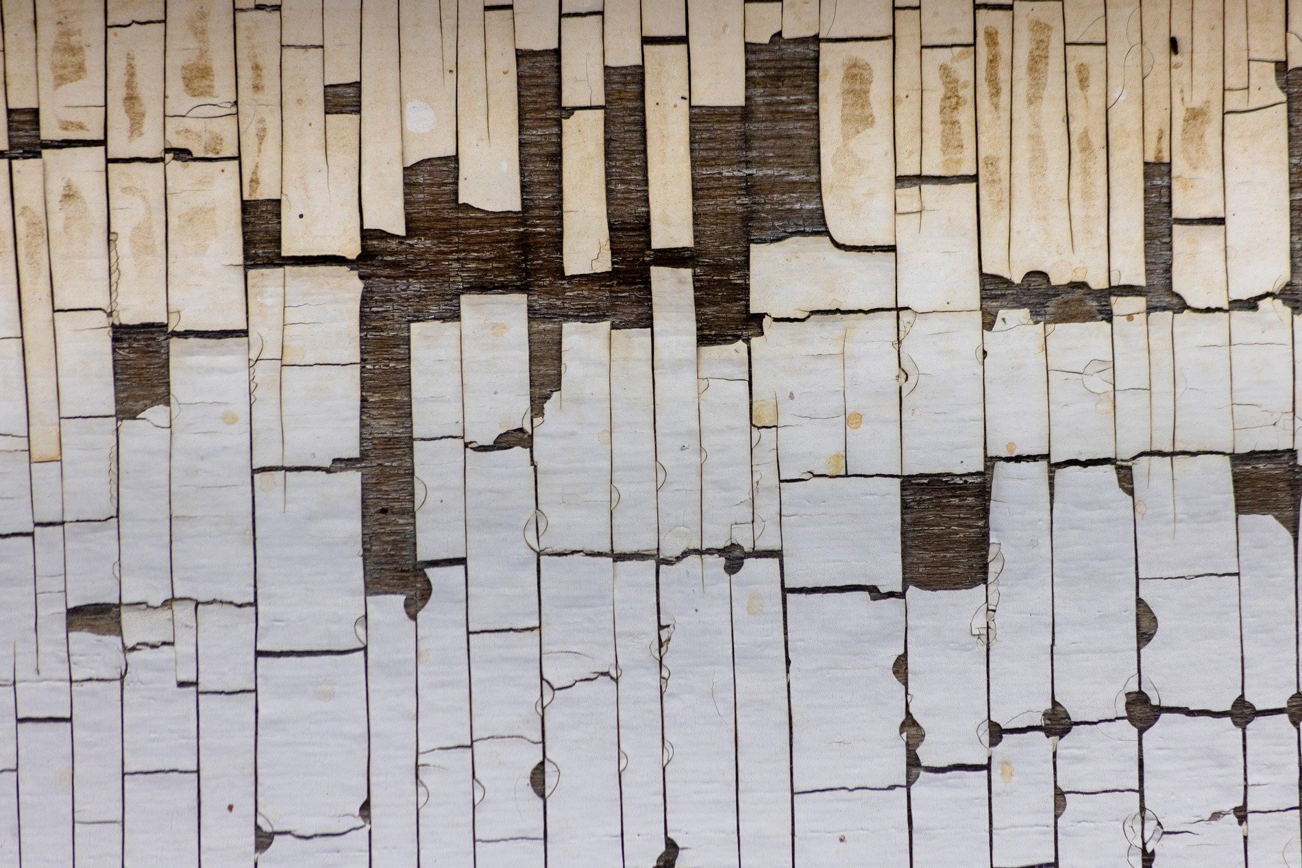 Dark ridges stand tall, vertical grain flows through time, grit marks the finish