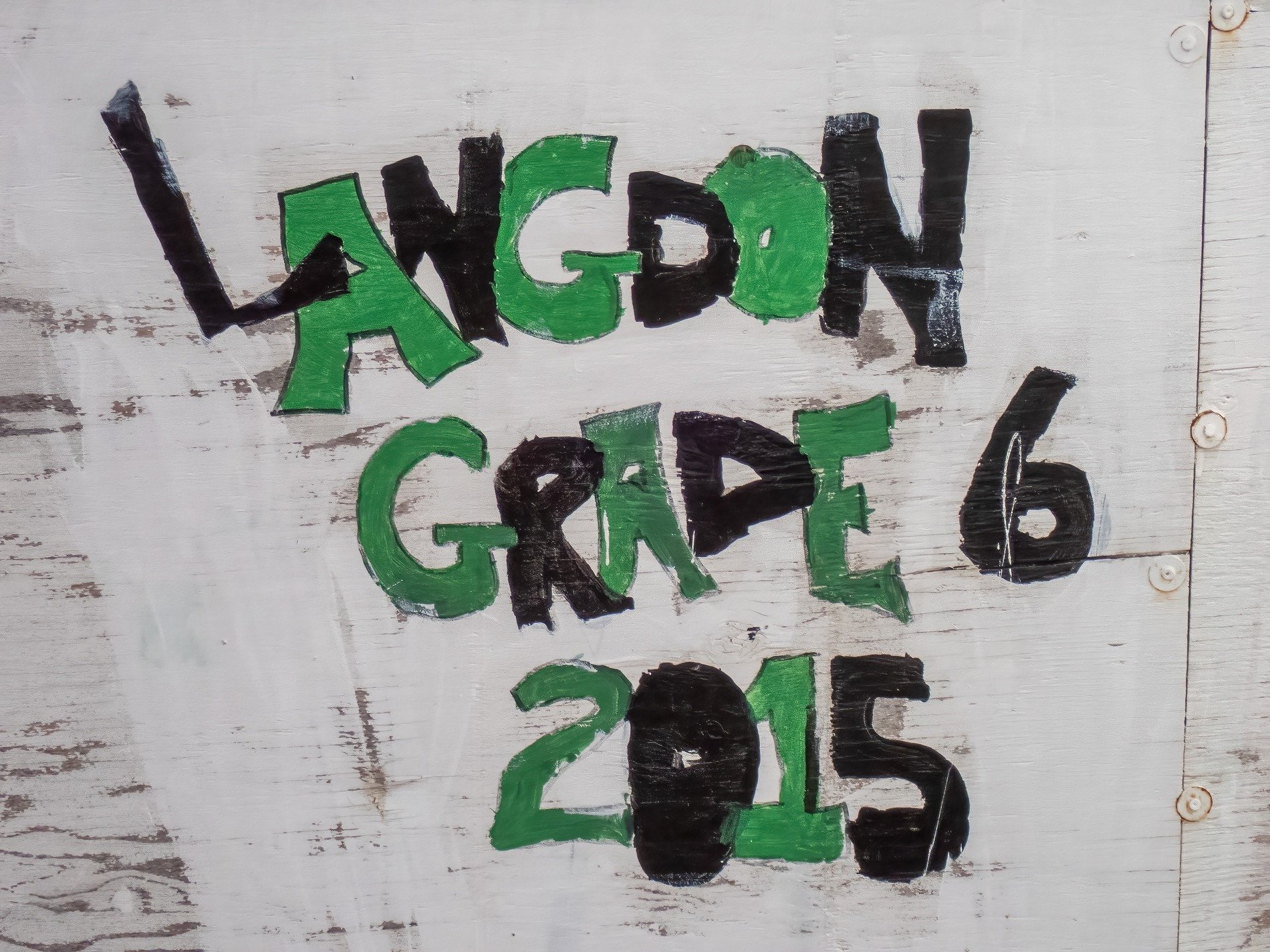 Dark veins flow through deep, vertical lines trace the skin, light holds the pattern