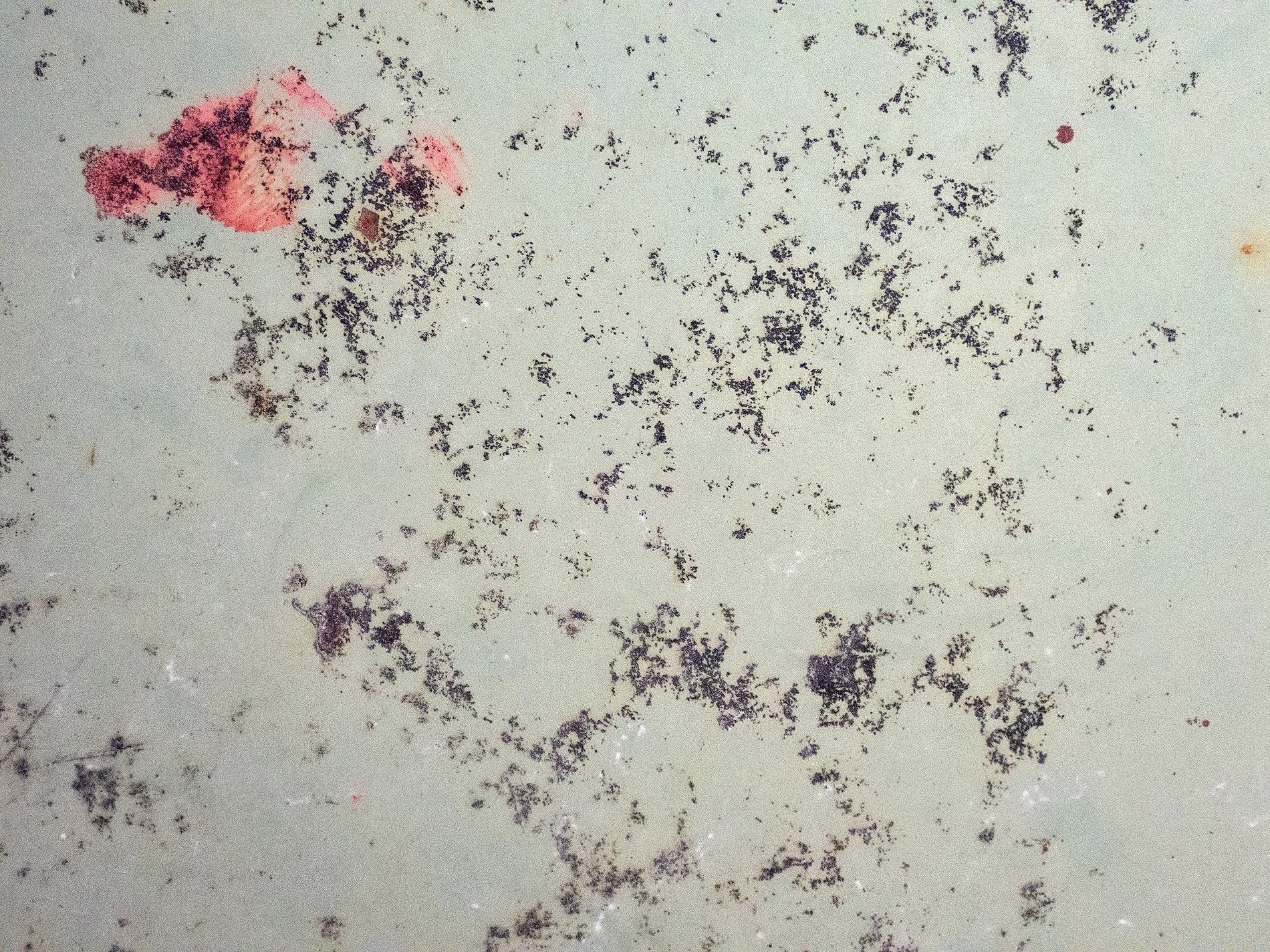 Faded minty steel, dark decay blooms in the grain, red paint leaves its mark