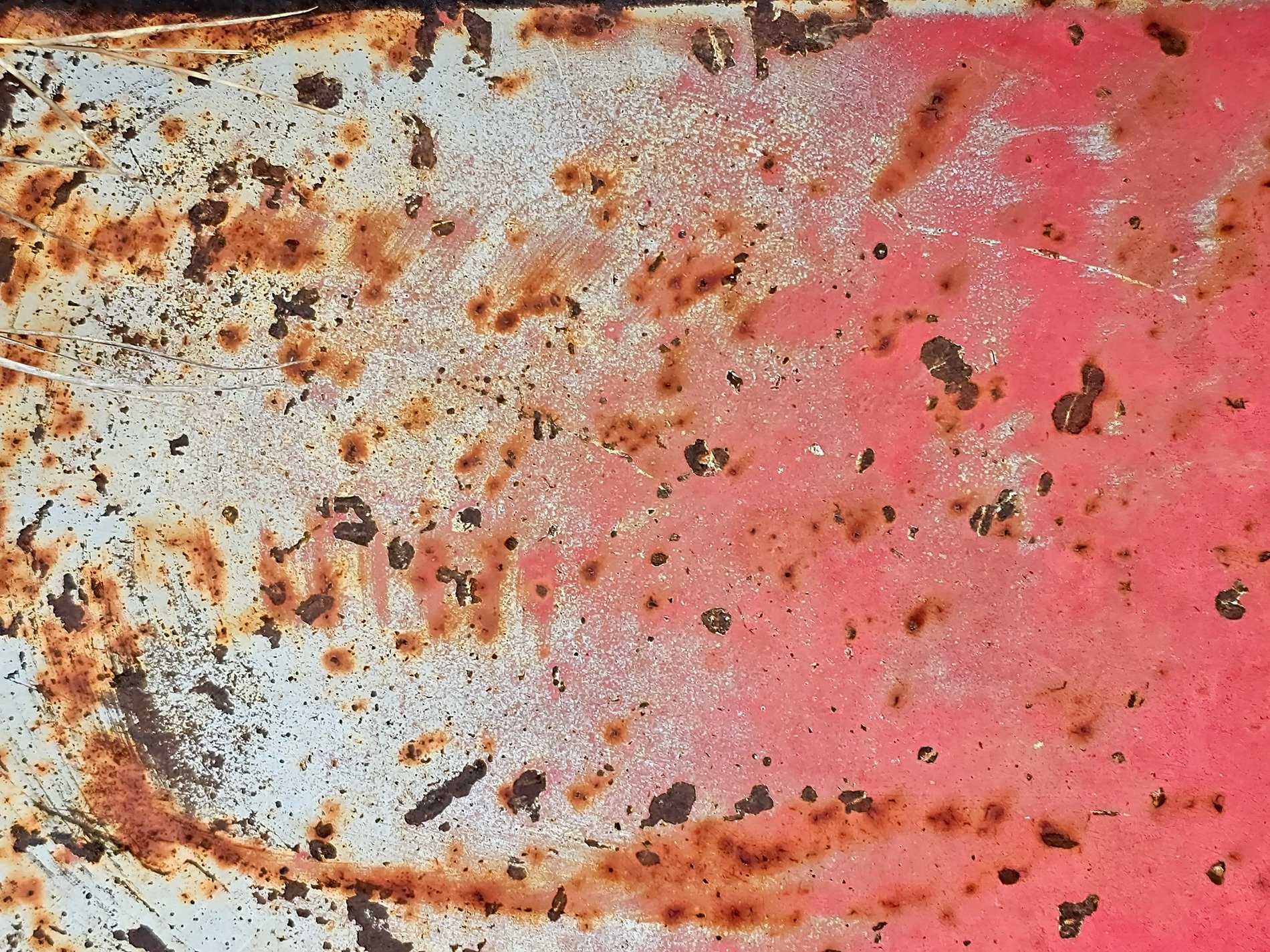 Faded pink and white, rust blooms on the metal skin, time erodes the paint