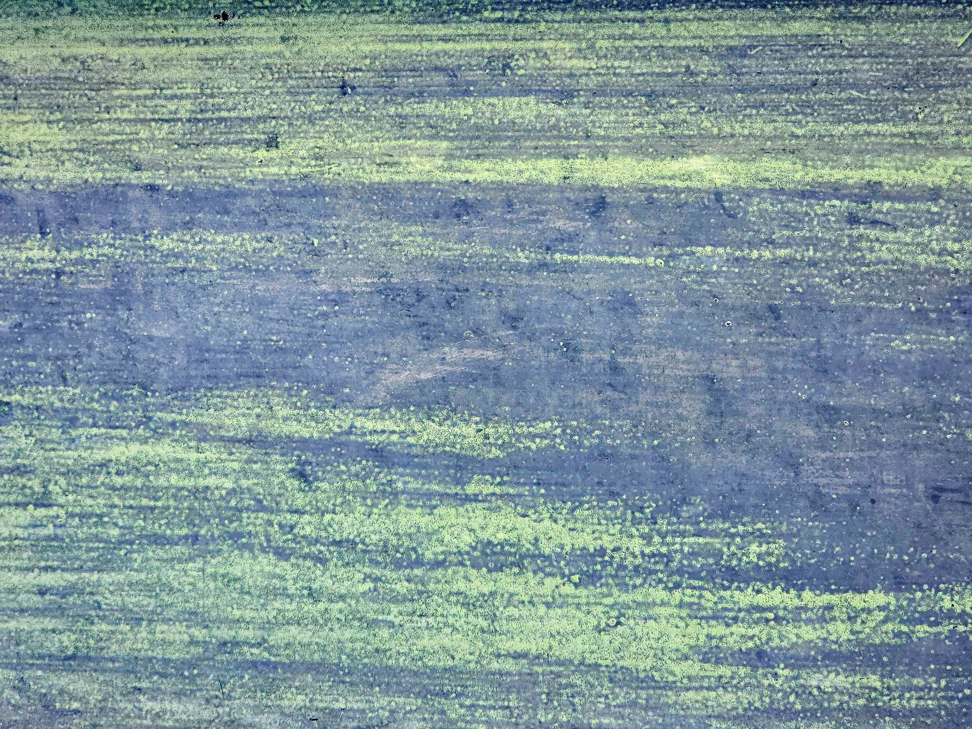 Faded purple grain, lime light spills across the board, years of wear show through