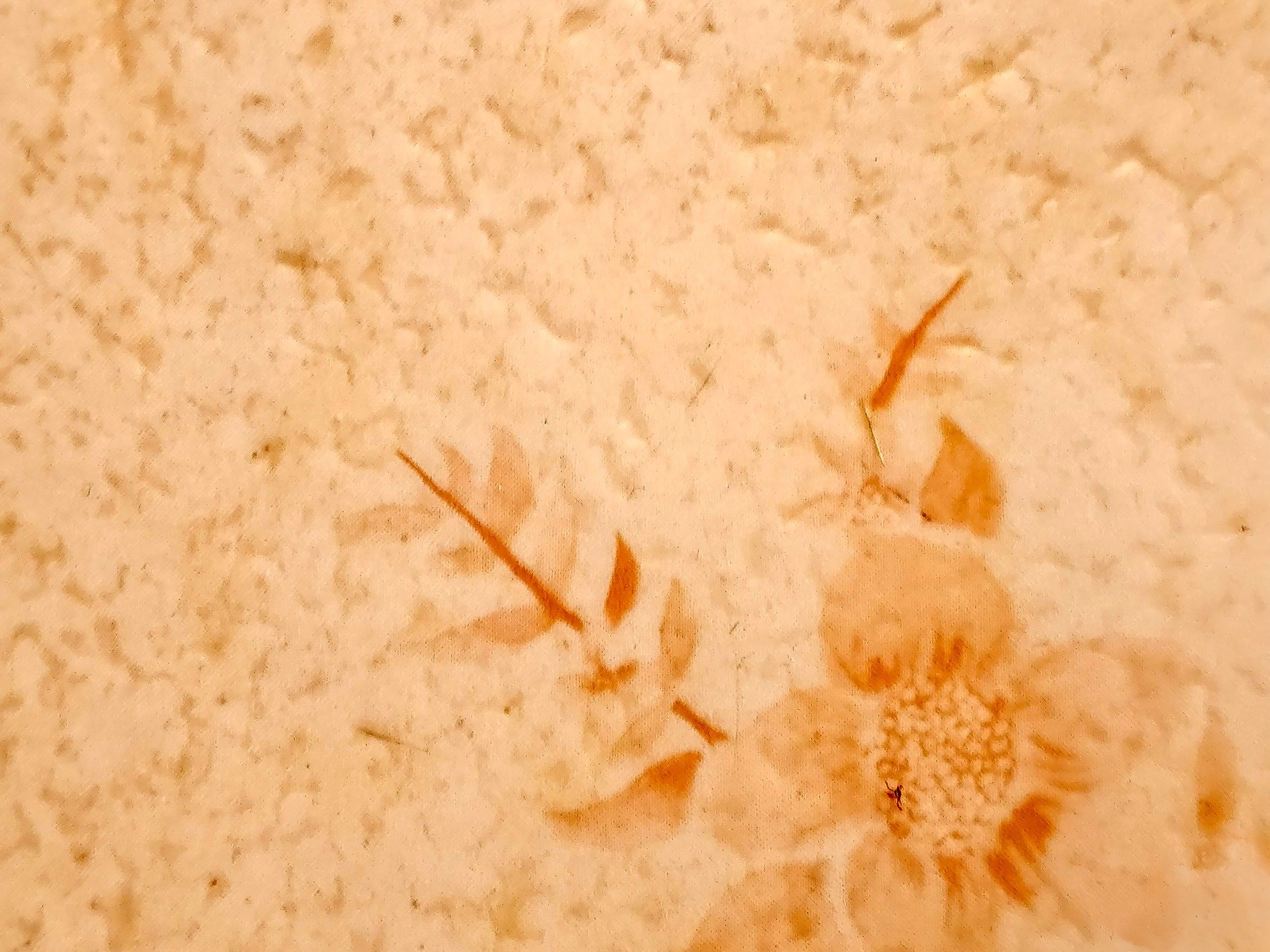 Floral ghosts arise, textured pulp holds faded ink, sepia petals bloom