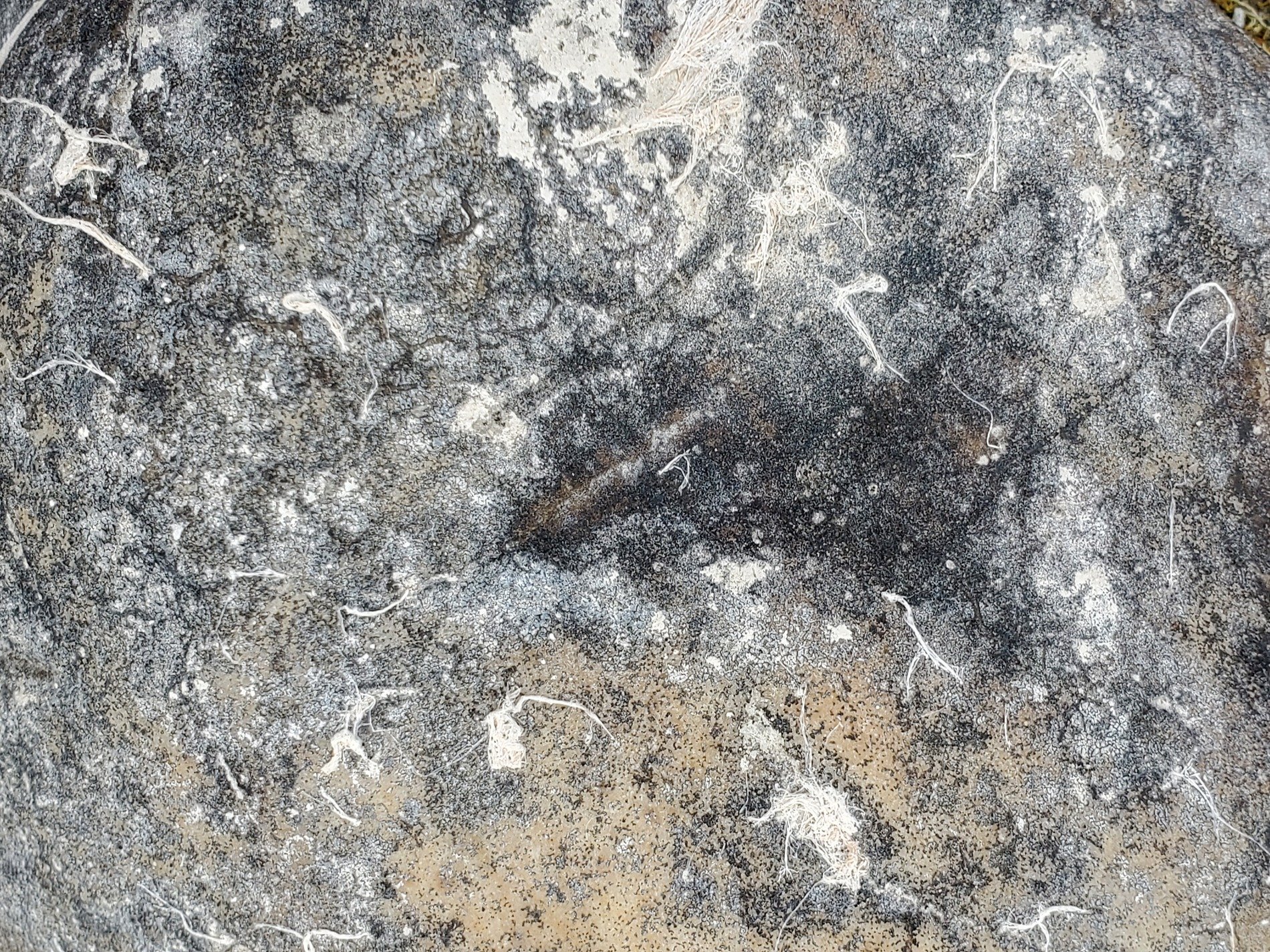 Gray stone holds the threads, white fibers cling to the face, ancient patterns etched