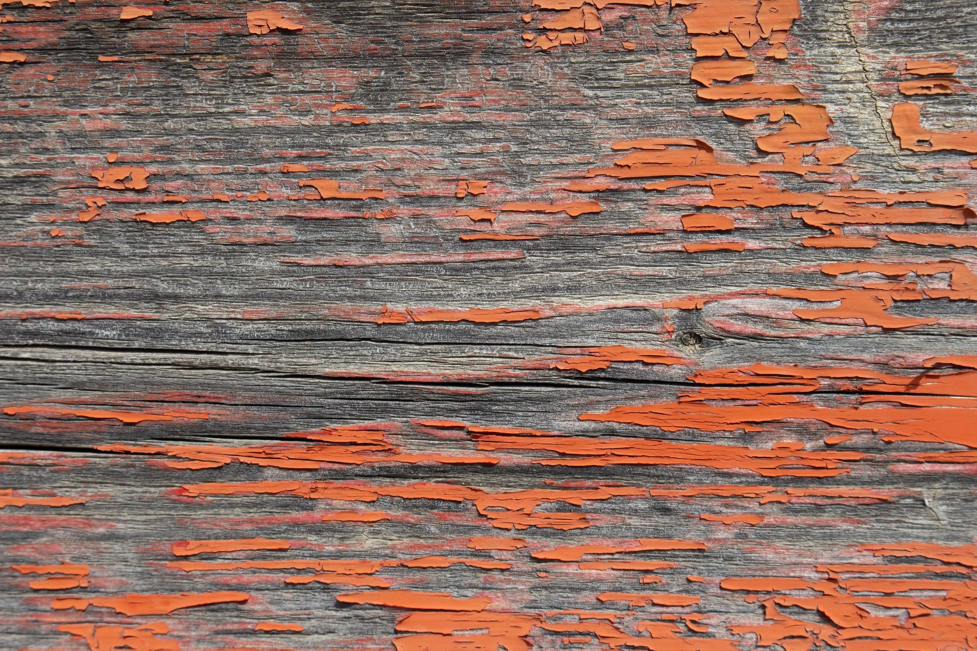 Gray wood holds the grain, orange paint flakes from the light, time peels back the layers