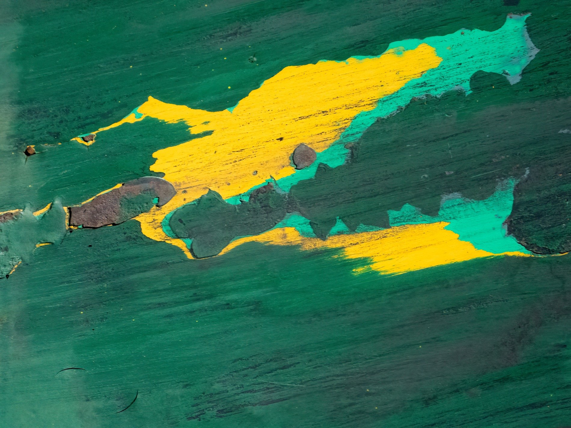 Green layers retreat, yellow bursts from deep within, time strips back the coat