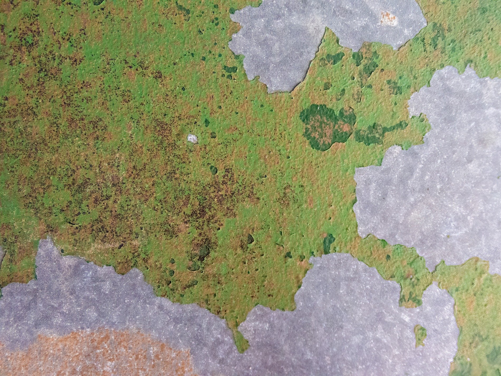 Green skin flakes away, grey paths meet the heavy light, grit marks the finish