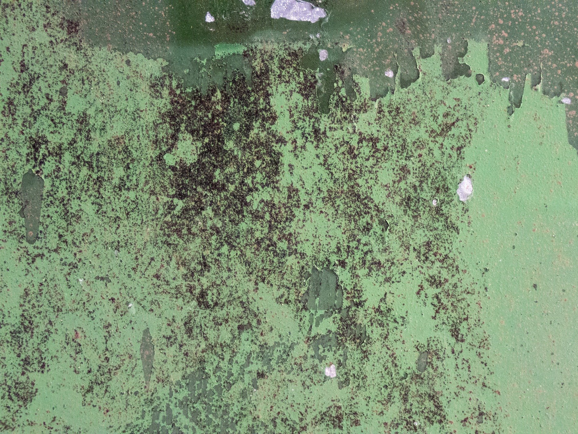 Green paint flakes away, dark speckles dot the surface, time erodes the skin