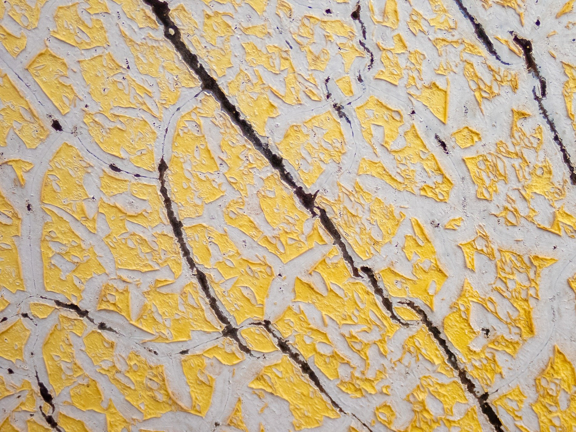 Yellow flakes peel back, deep dark cracks divide the crust, time sheds every layer