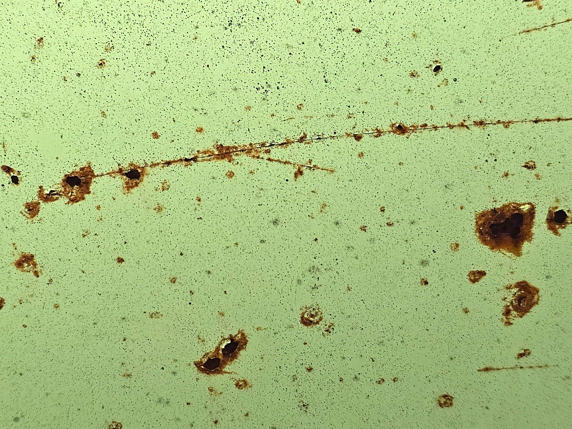 Green skin has light marks, orange pits trace the field, grit marks the finish