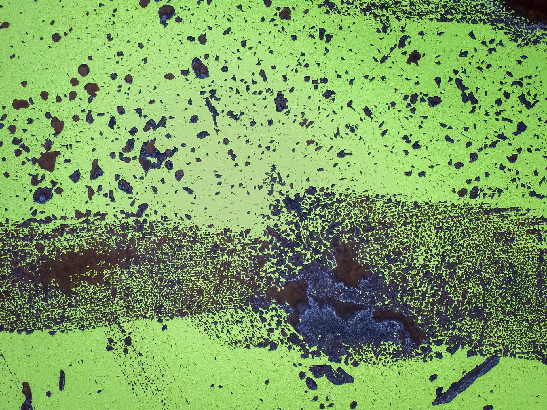 Green skin has rust trails, mottled patterns trace the field, light carves the metal