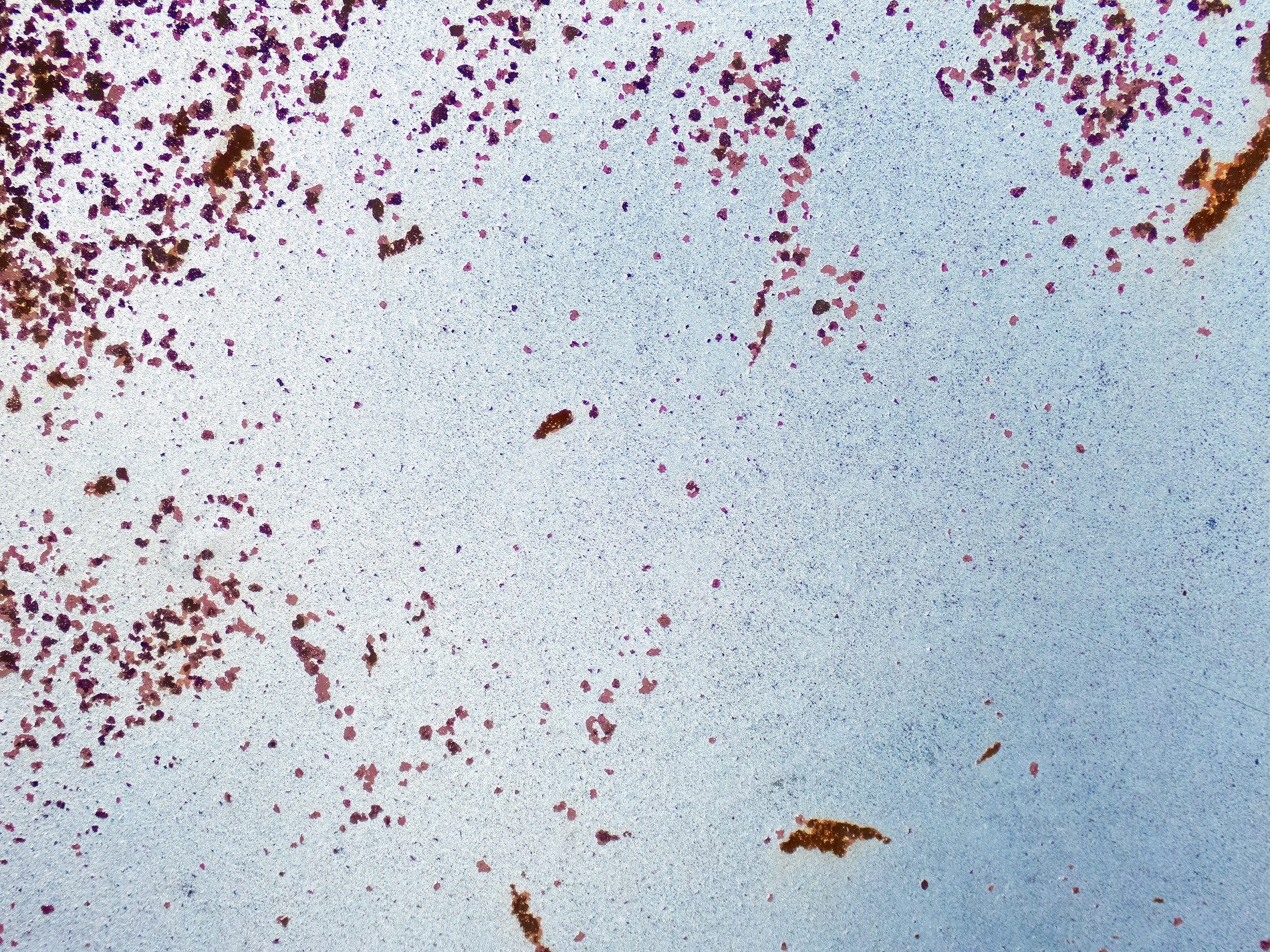 White paint wears away, purple rust blooms in the cold, scattered specks of time