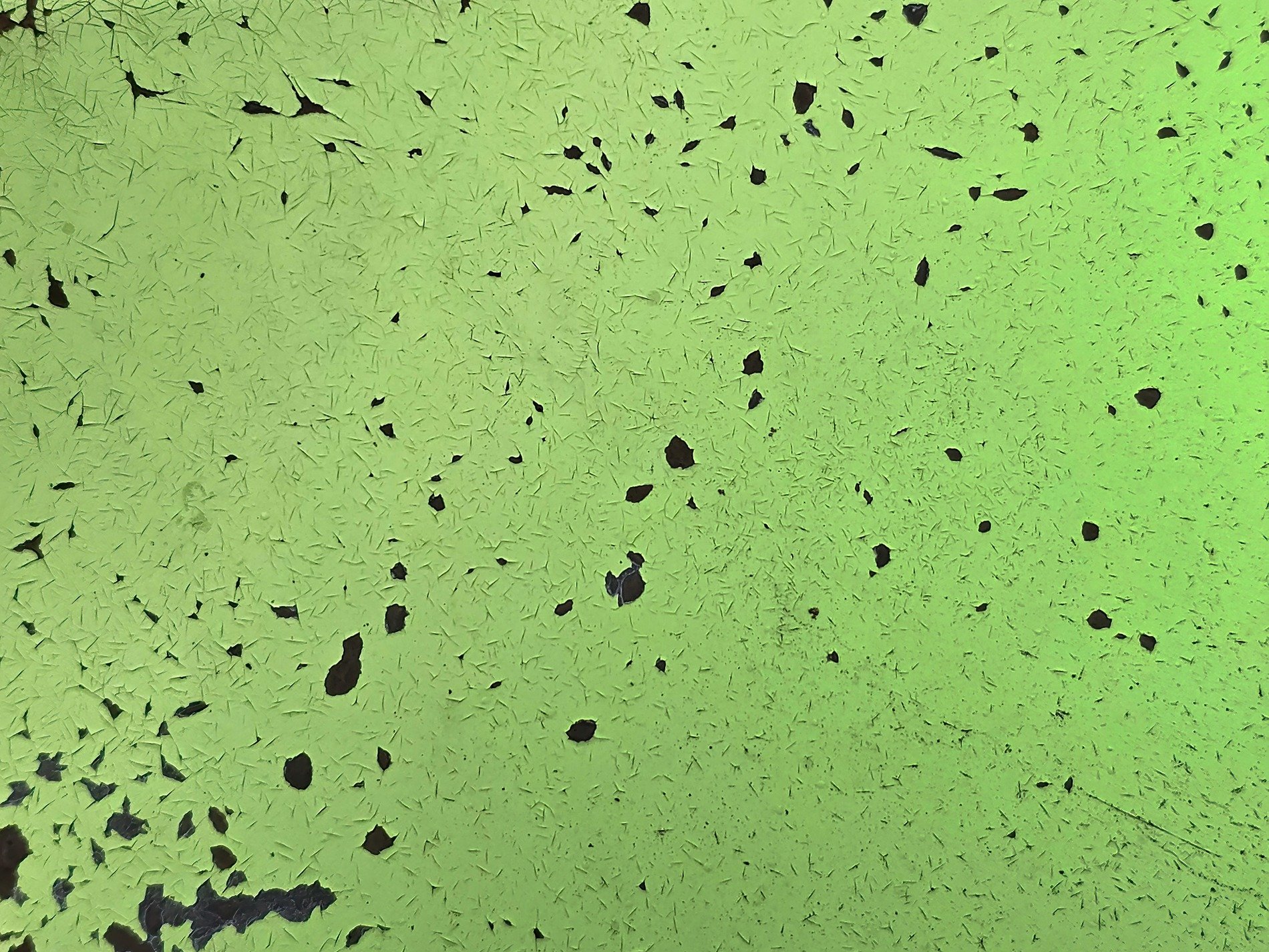 Green skin sheds away, dark gaps bloom across the field, cracks mar the surface