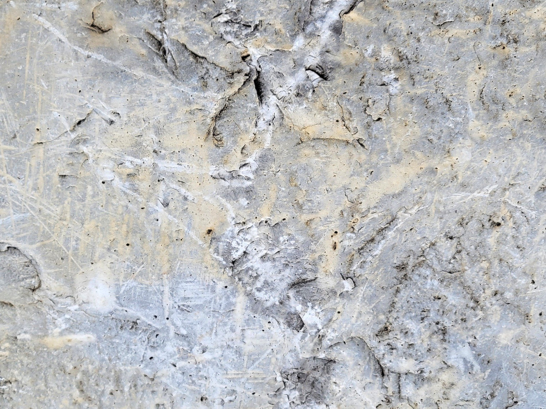 Grey concrete is scarred, fine lines cross the weathered face, ancient dust remains