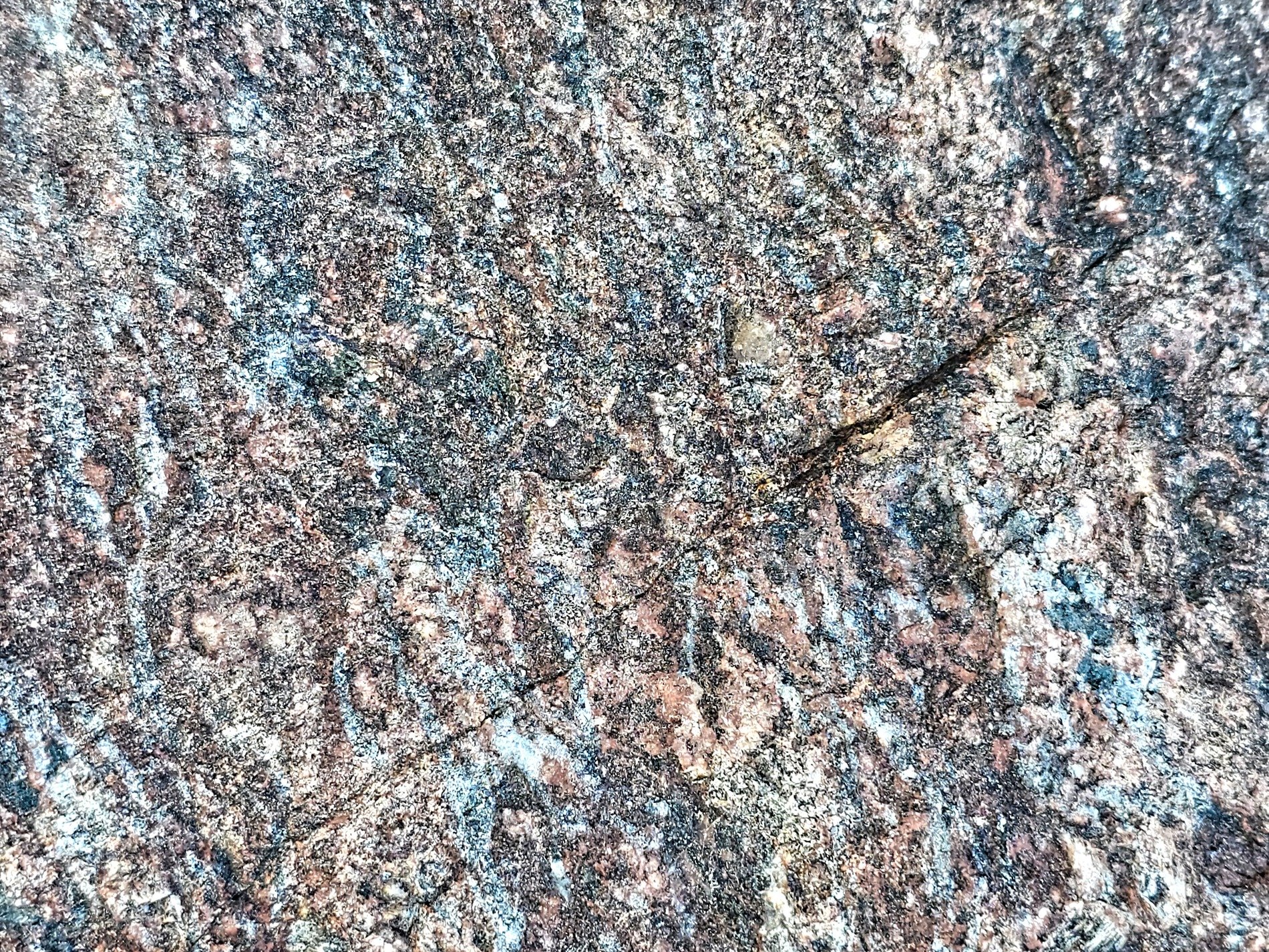 Grey grains flow in lines, vertical veins trace the skin, time carves the pattern