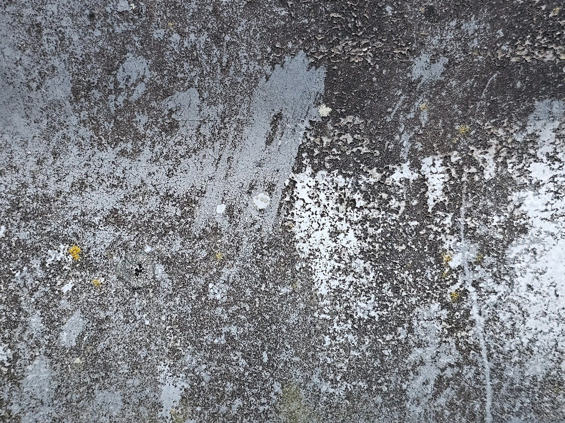 Grey paint flakes away, charcoal grit meets faded white, lichen finds a home