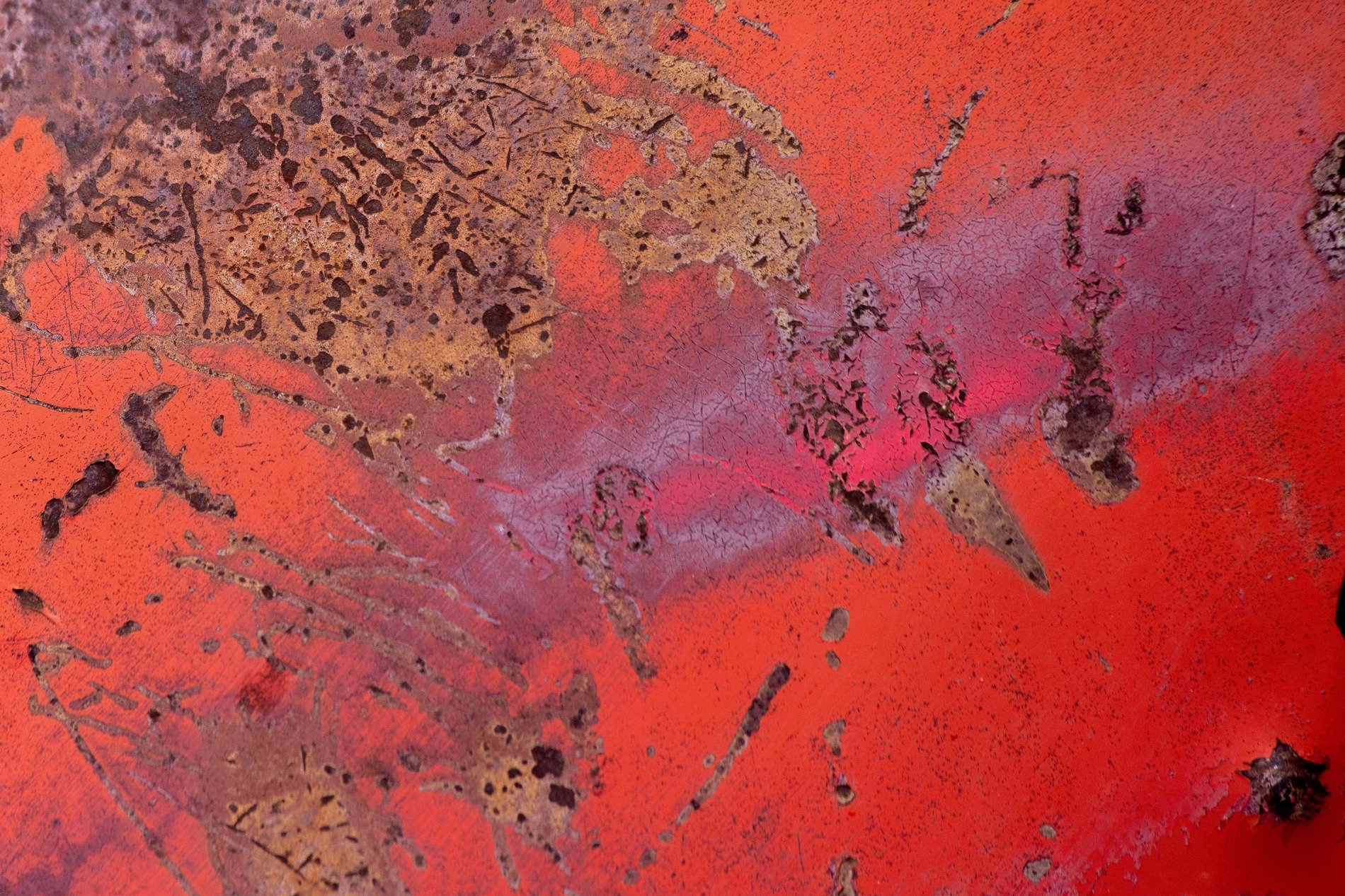 Grey pits mark the skin, jagged scars trace the heavy, time leaves a thick trace