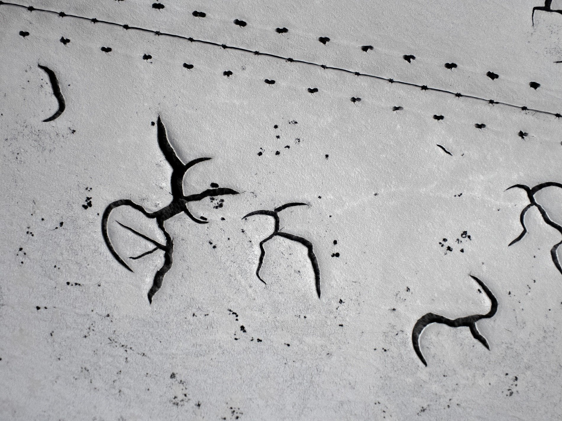 Grey skin has dark threads, jagged scars trace the heavy, light carves the surface