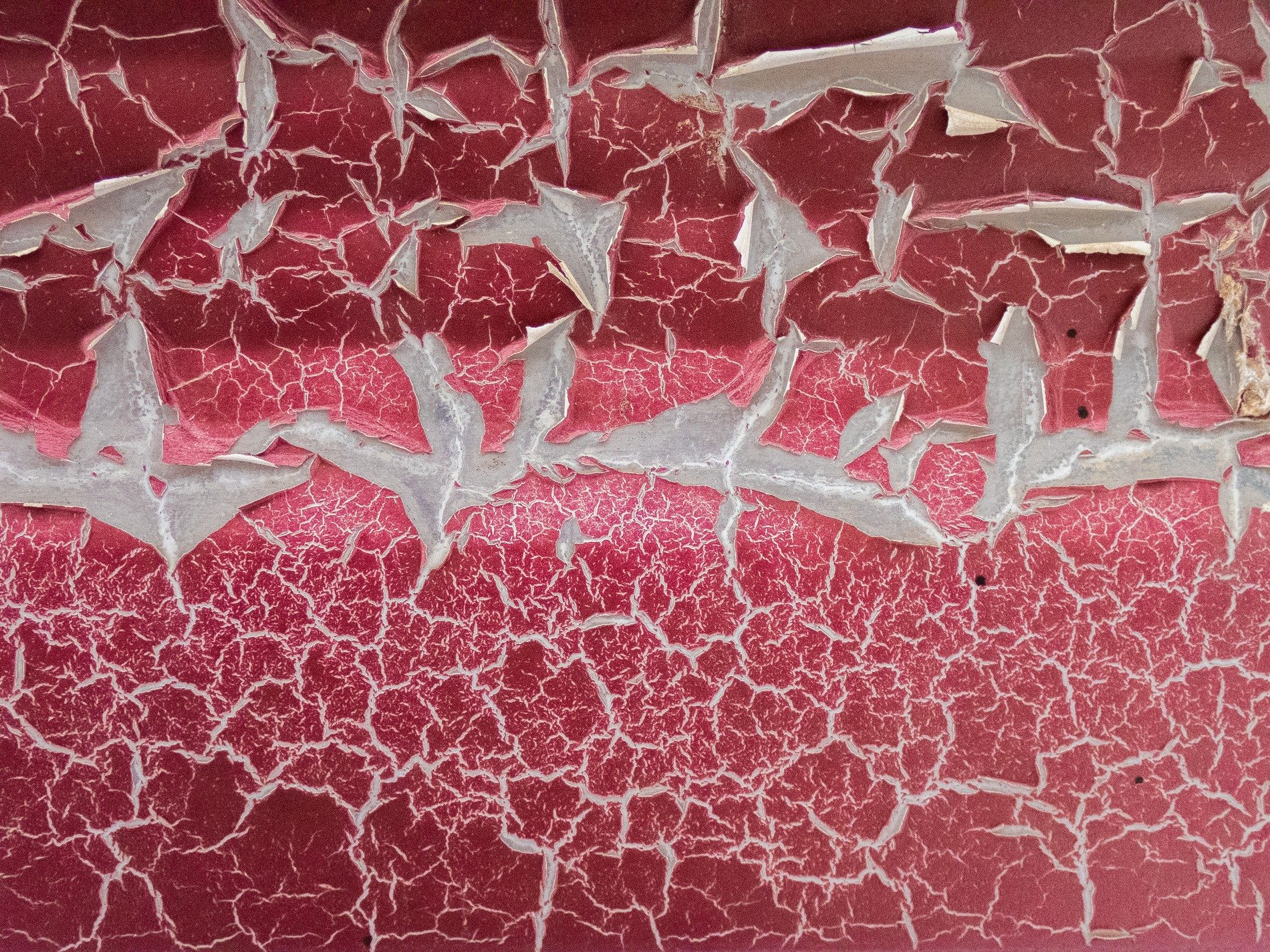 Grey skin holds the green, jagged marks trace the surface, time wears the finish