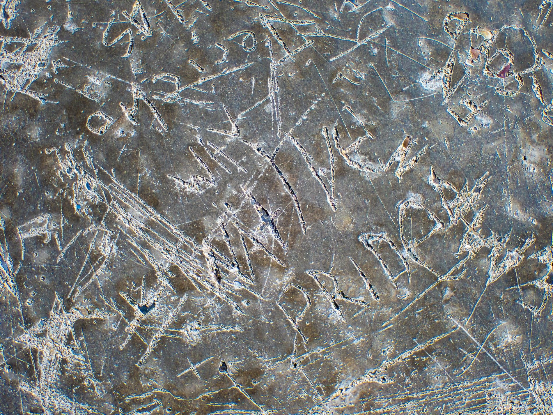 Grey stone holds the mark, carved pride etched in deep relief, weathered surface scars