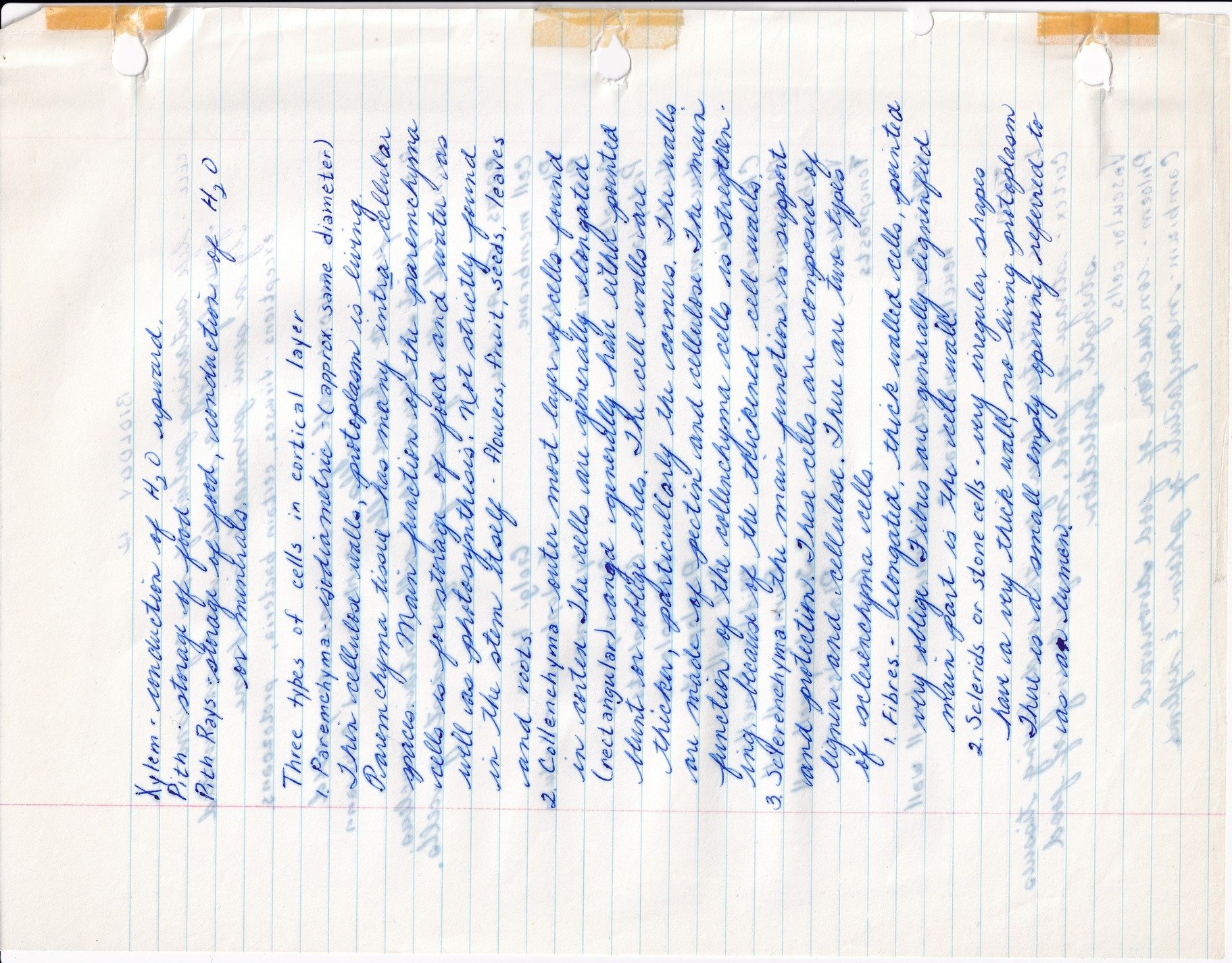 Ink flows on the page, biology notes take form, paper shows its age