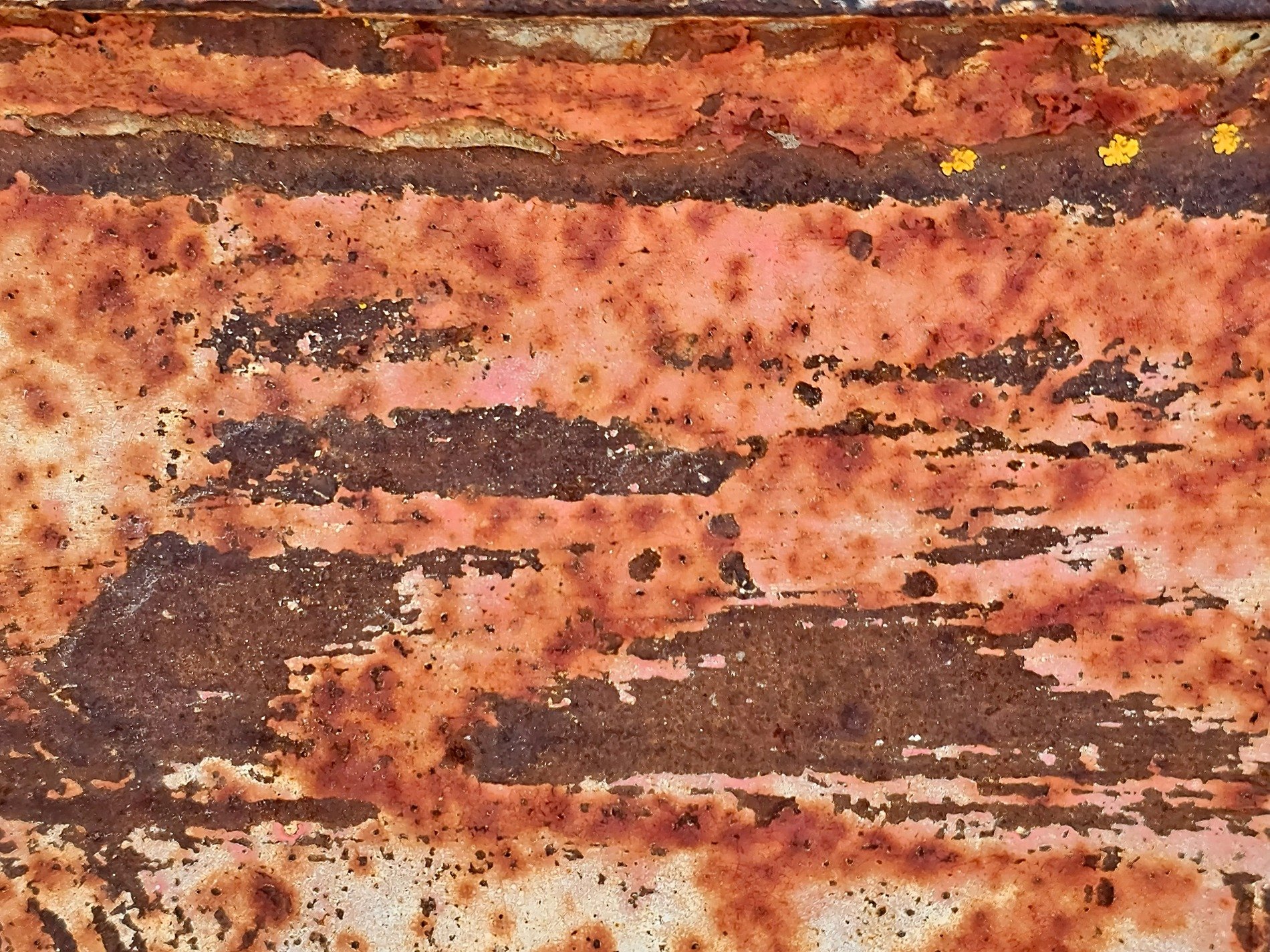 Iron turns to dust, layers peel in flakes of red, orange blooms on steel