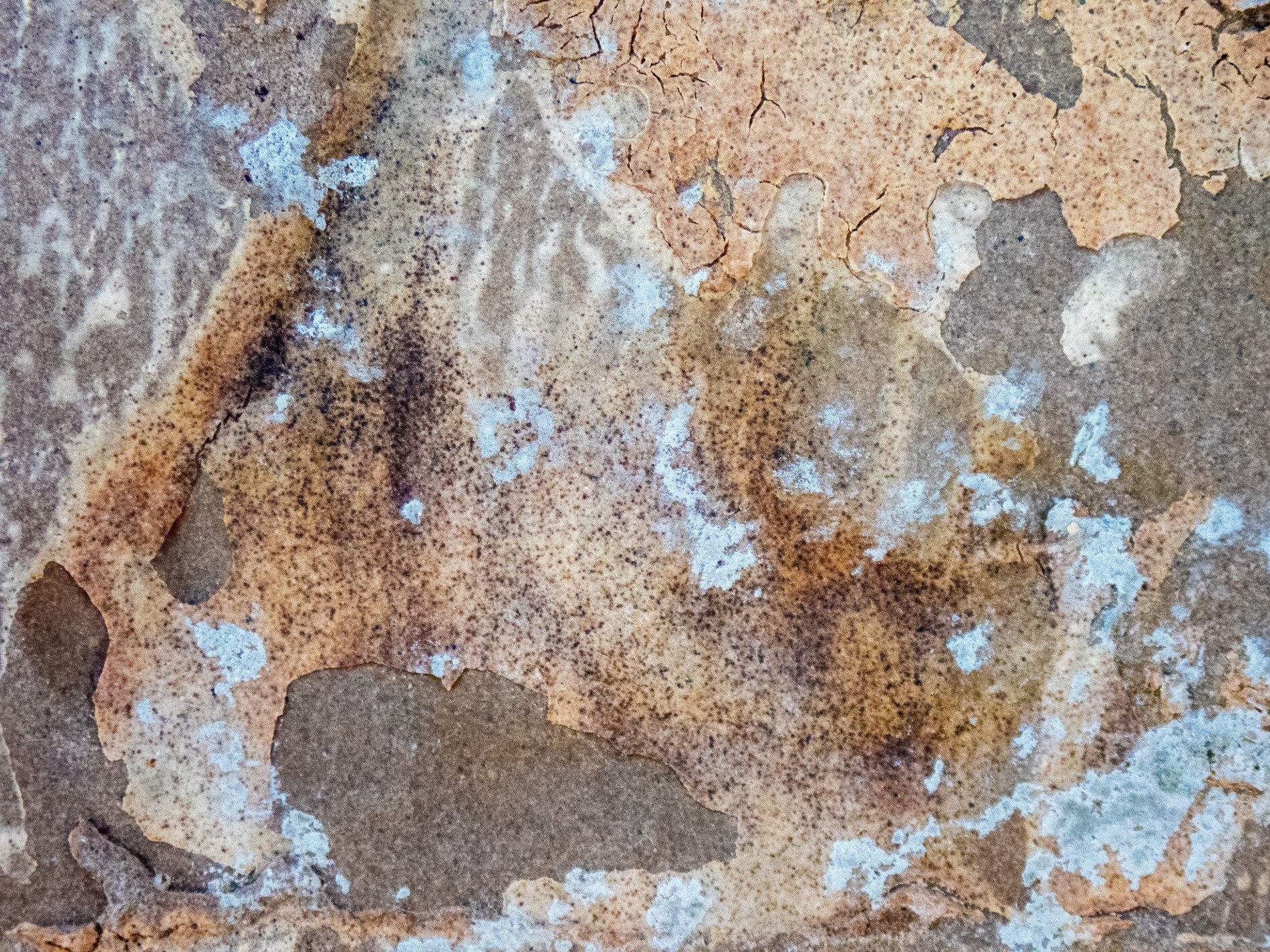 Layers curl and break, pale blue flecks on desert sand, time peels back the years