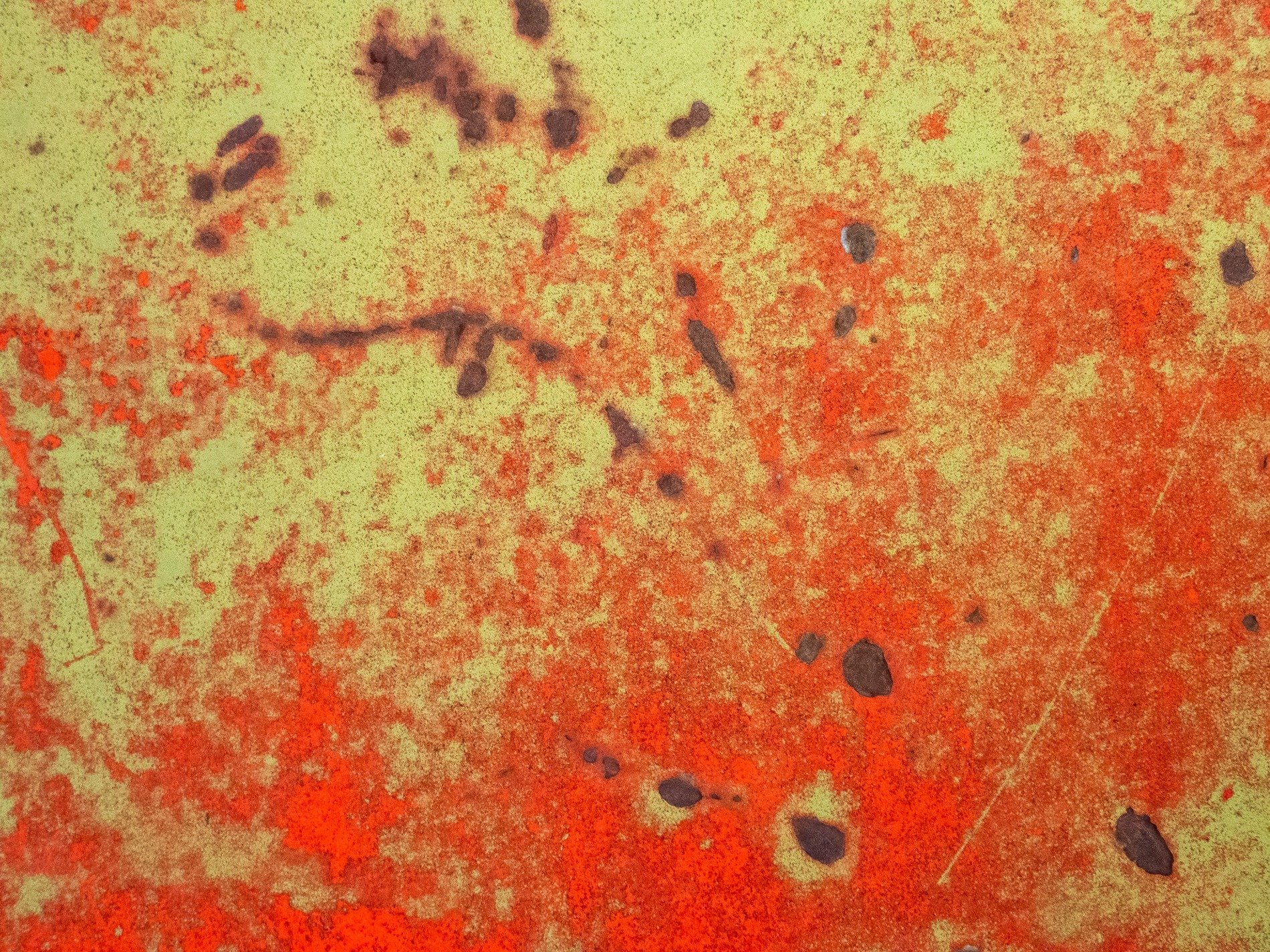 Lime fields meet the rust, orange spots claim the heavy, light marks the finish