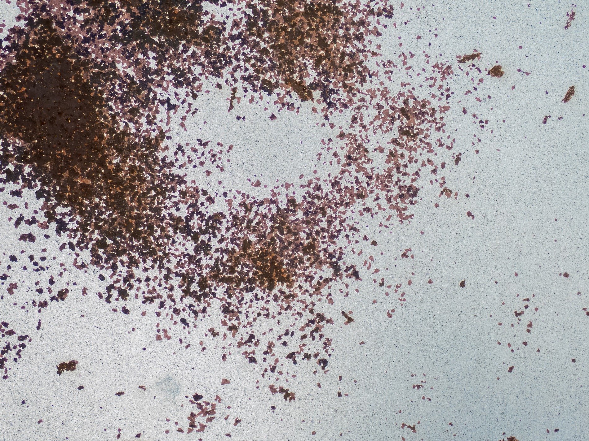 White surface decays, dark iron blooms like a scar, time eats through the steel