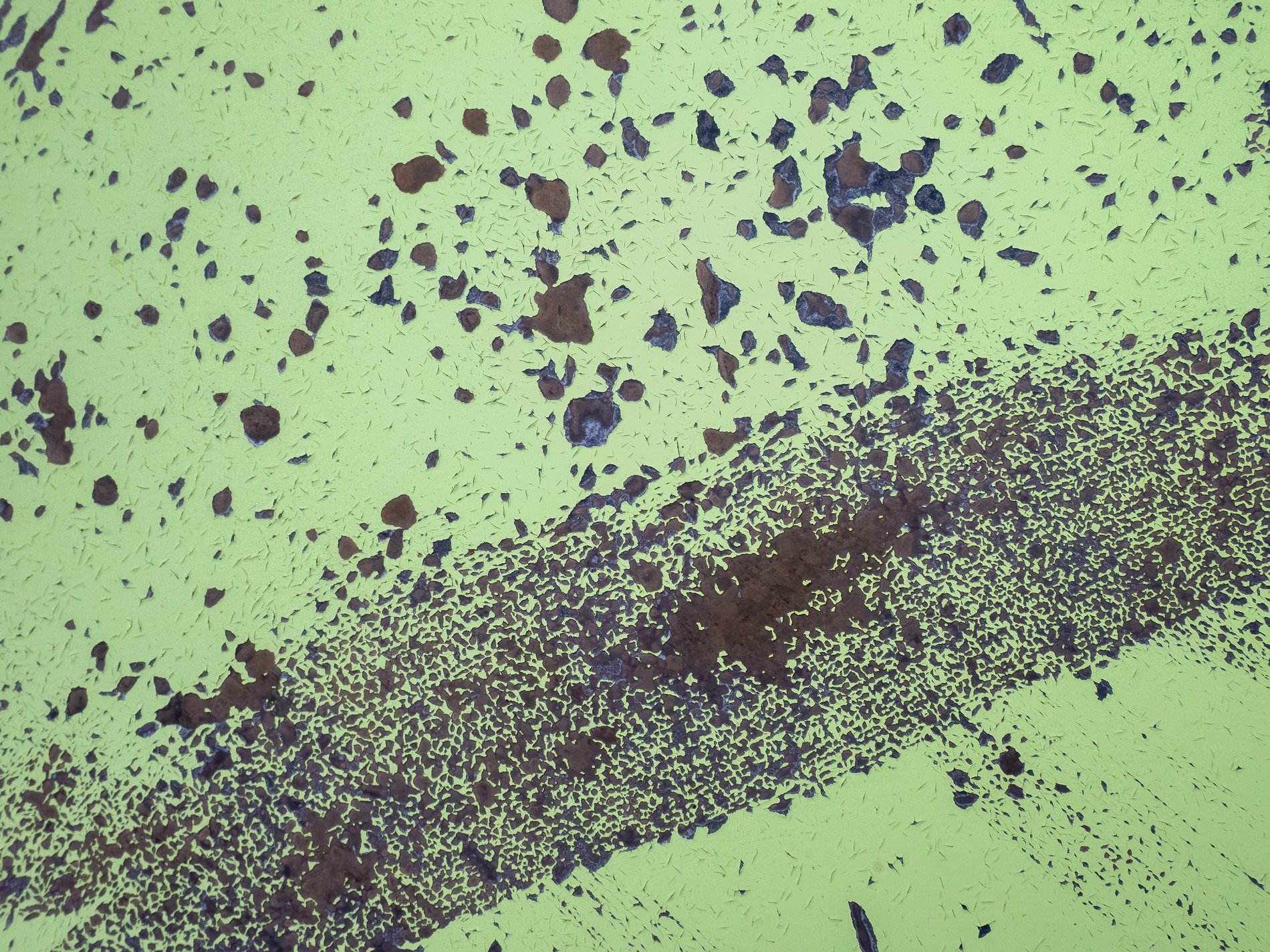 Lime skin has dark trails, mottled spots trace the heavy, light carves the metal