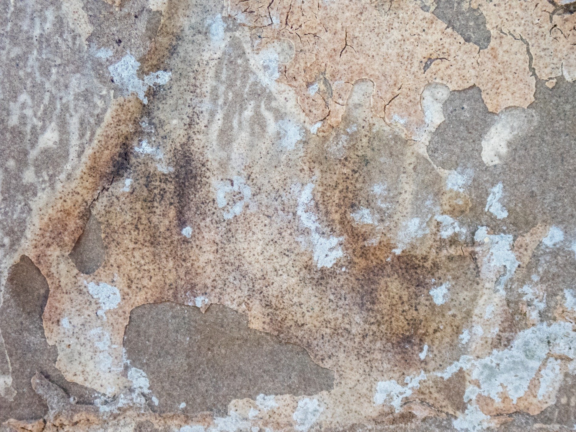 Old layers peel back, mottled paper flakes away, textures of the past