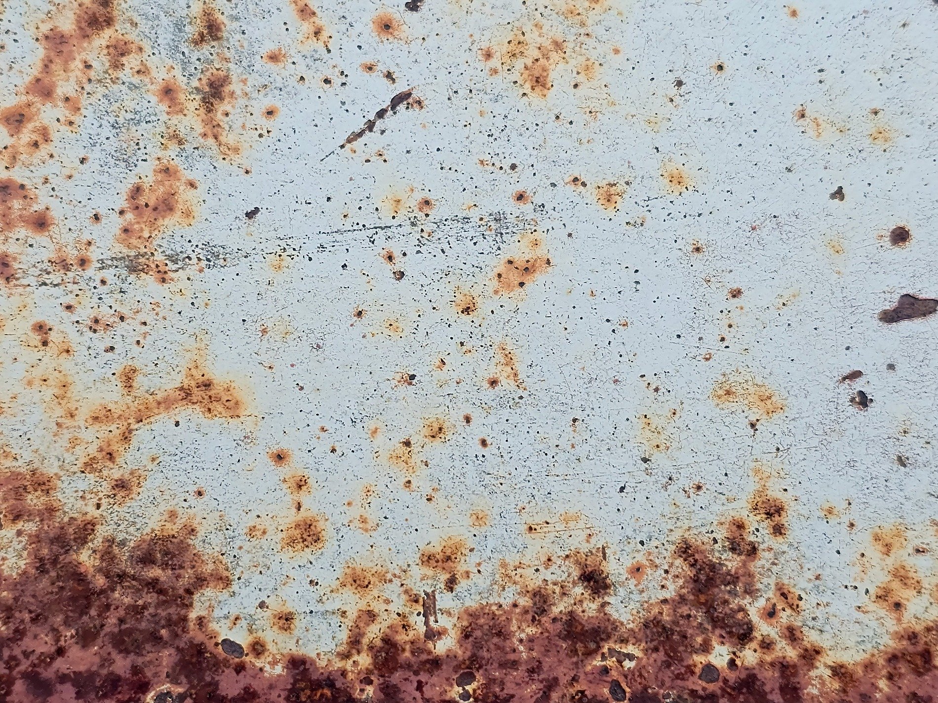 Orange blooms on blue, iron flakes beneath the paint, decay eats the edge