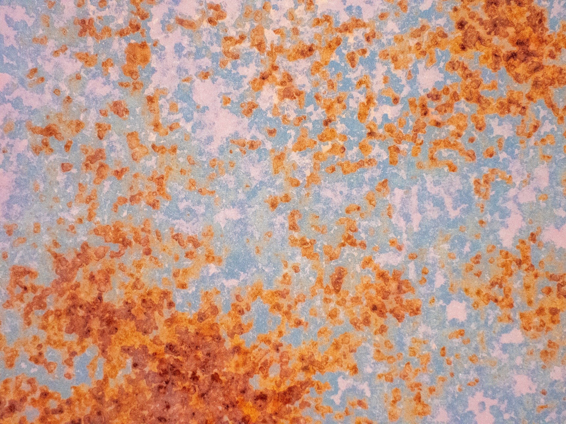 Orange blooms on blue, iron yields to steady air, surface turns to dust