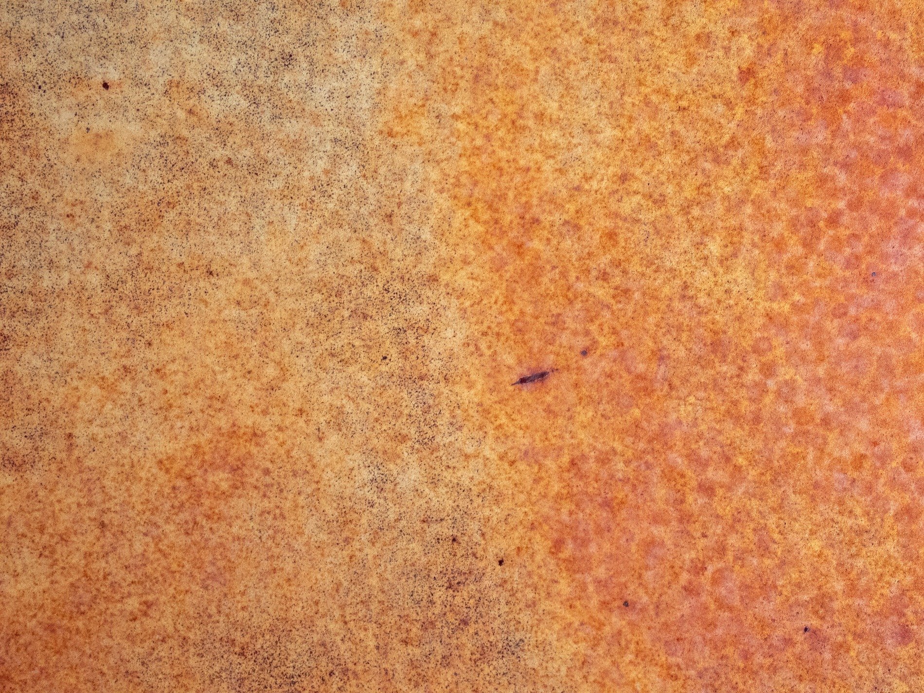 Orange dust claims light, brown patterns mark the surface, time leaves a deep mark
